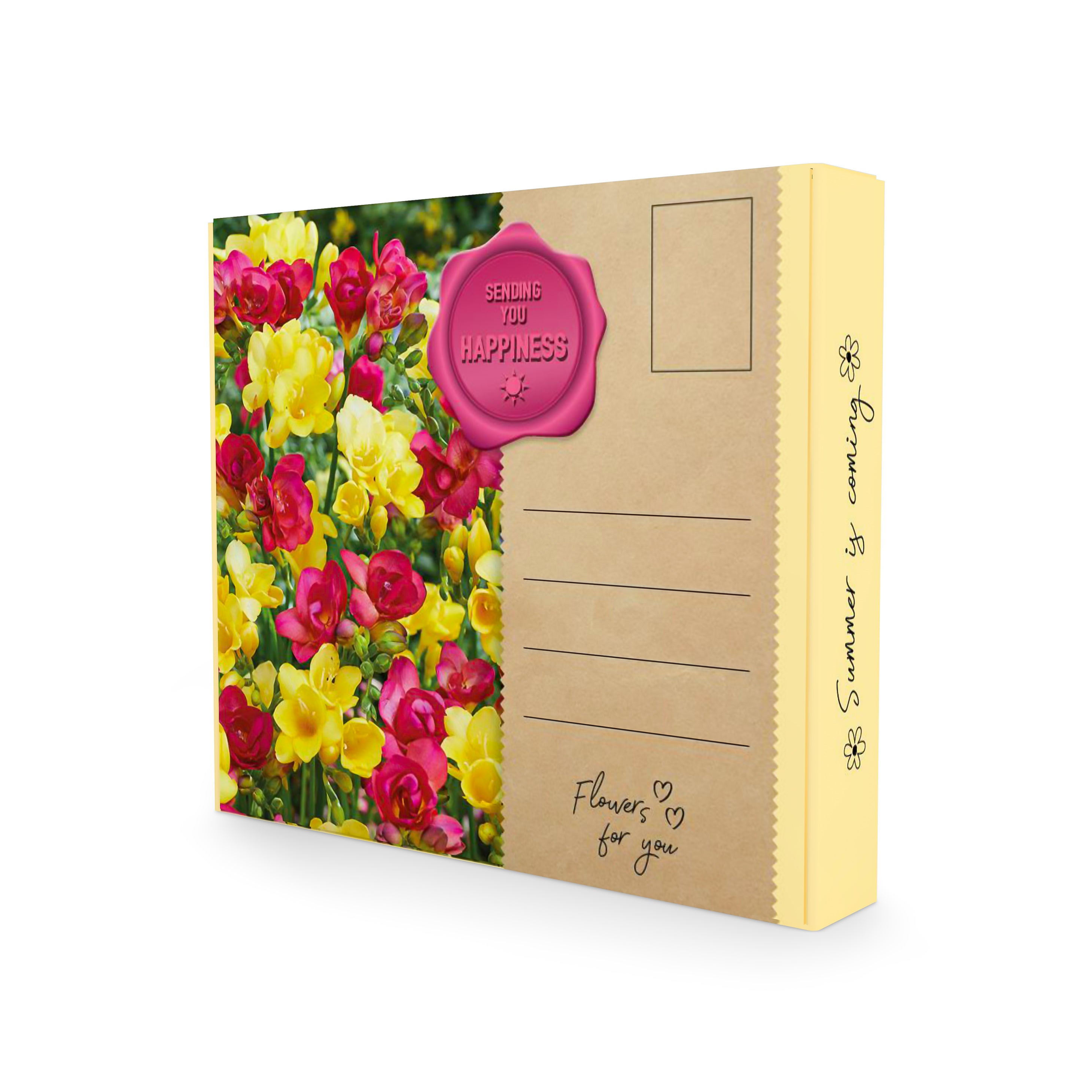 Flower Bulb Postal Gift Box - Sending You Happiness!
