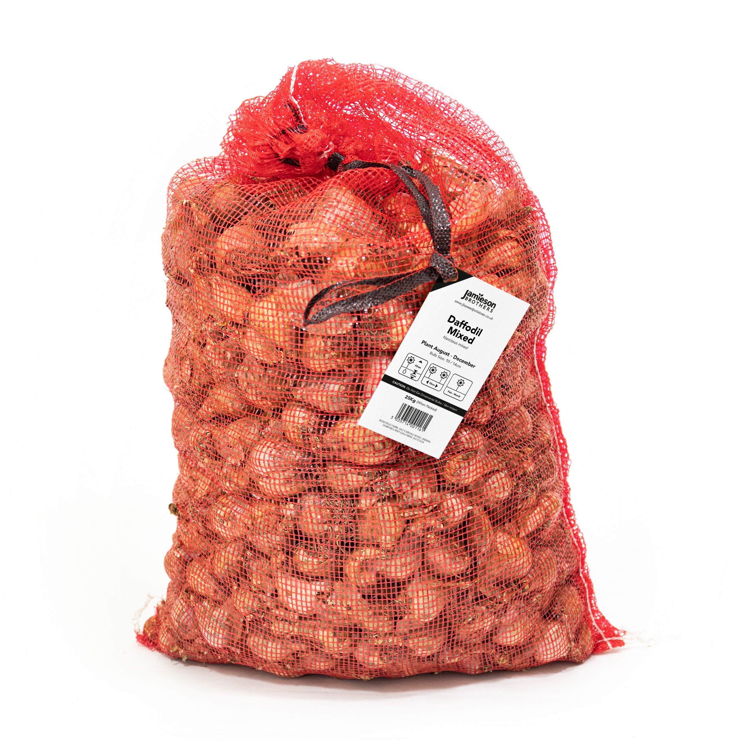 Mixed Daffodil Bulbs by Jamieson Brothers
