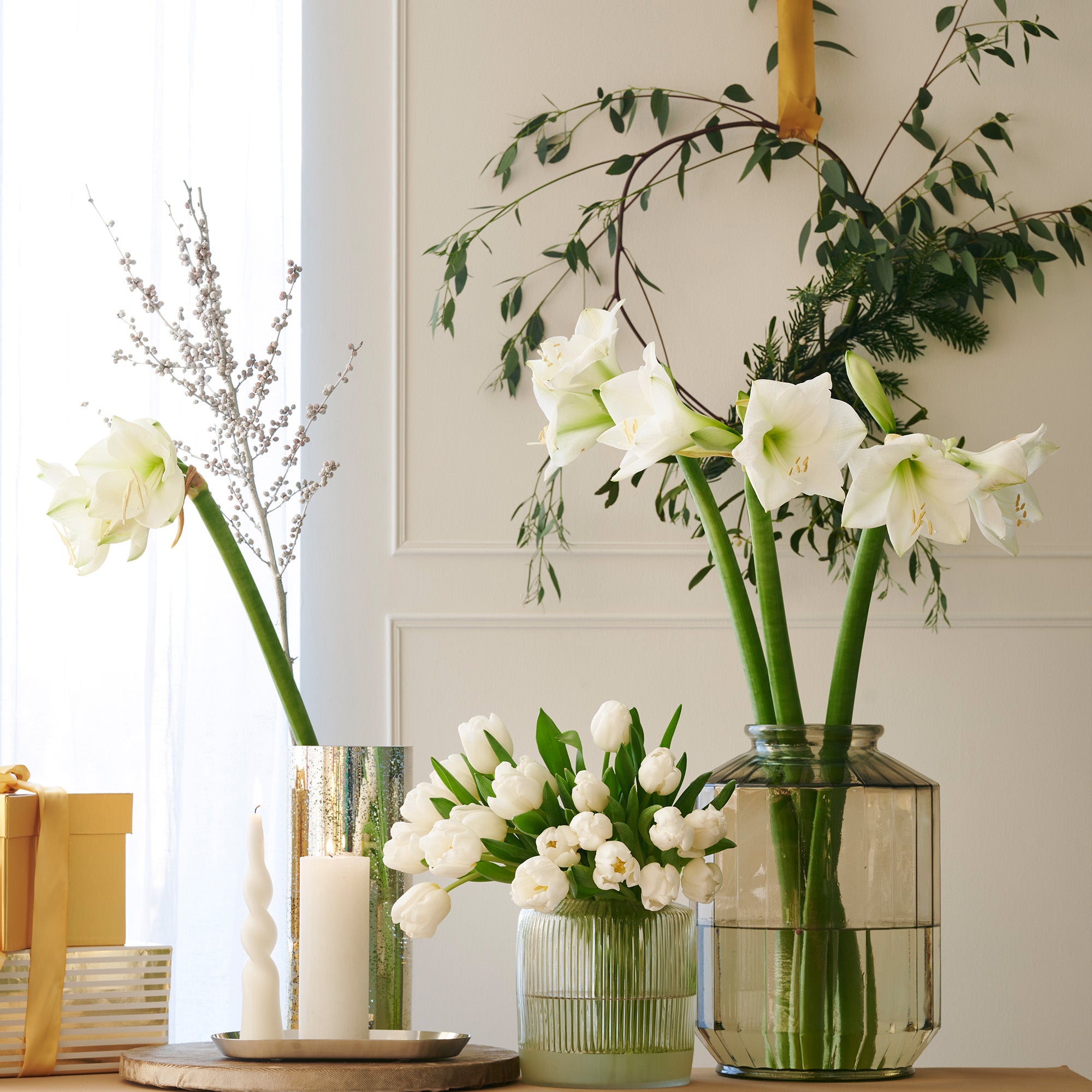 Deluxe Amaryllis White (1 bulb, pot & compost) - Gift Box