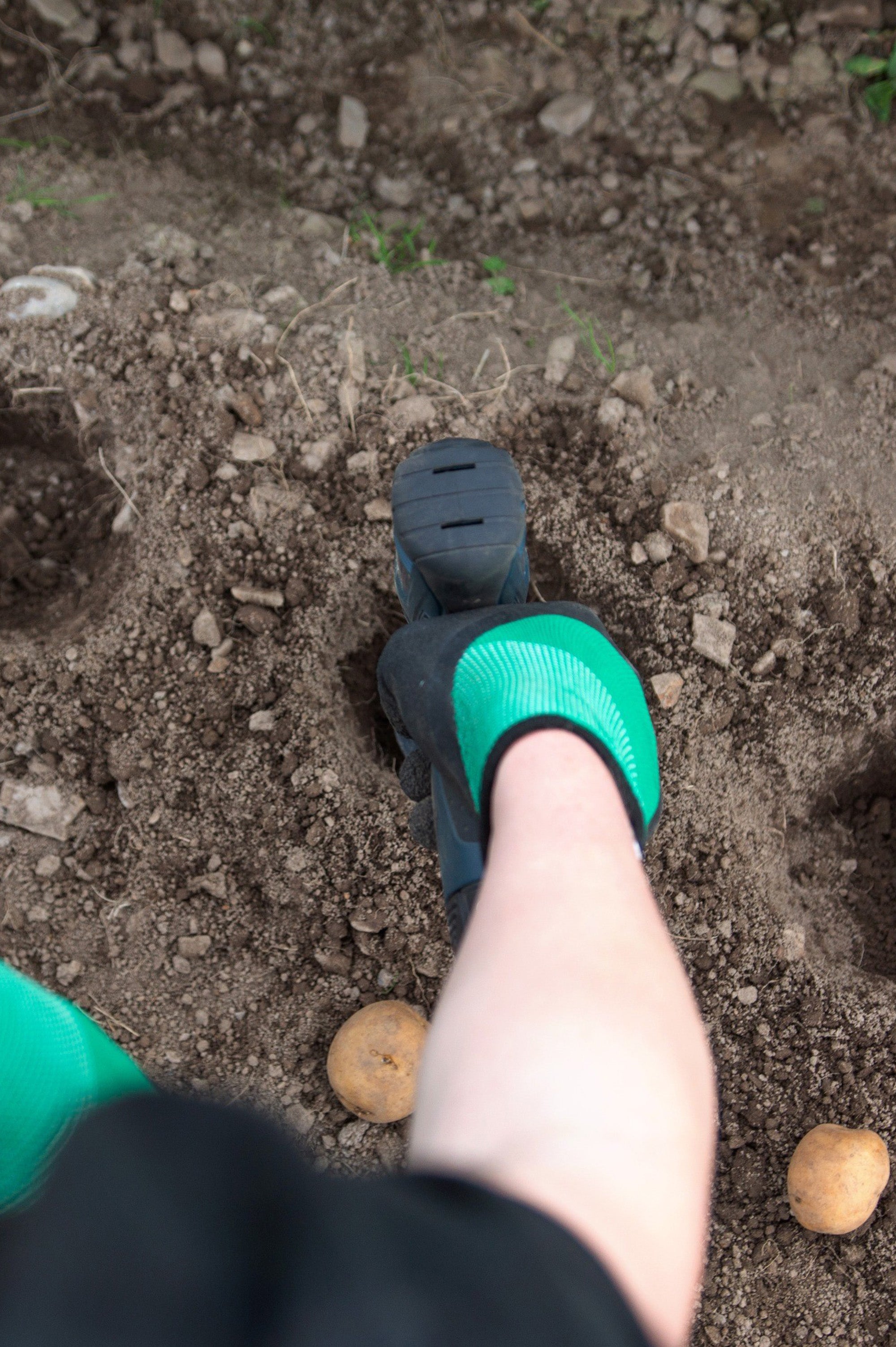 Auger Drill Bits for Planting Bulbs, Flowers, Vegetables, Potatoes, and Weed Remover - Twin Tool Pack 8x30 & 4x22cm by Jamieson Brothers