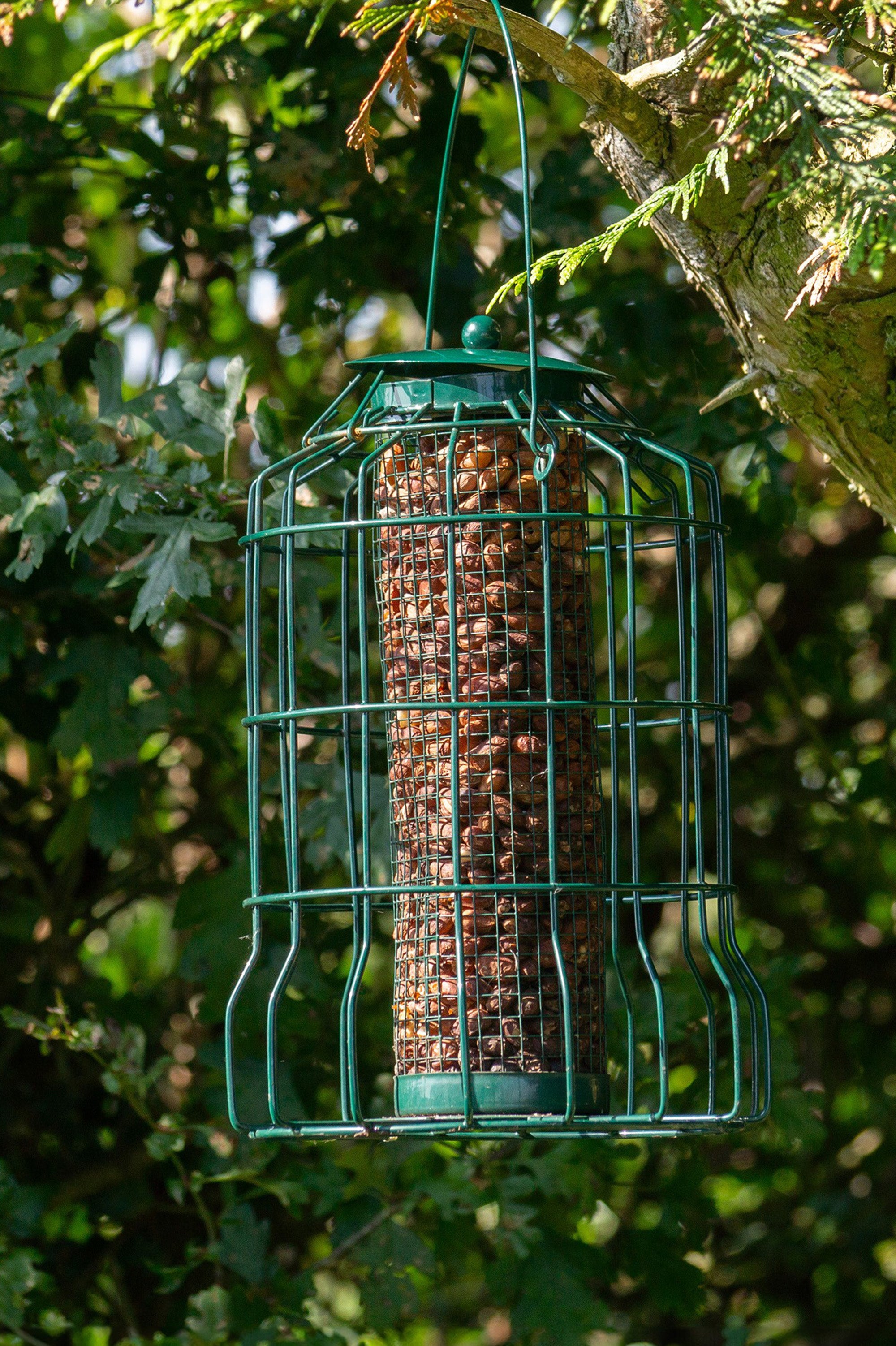 Squirrel Resistant Bird Feeders For Seeds Fatballs and Nuts- 3 pack by Jamieson Brothers