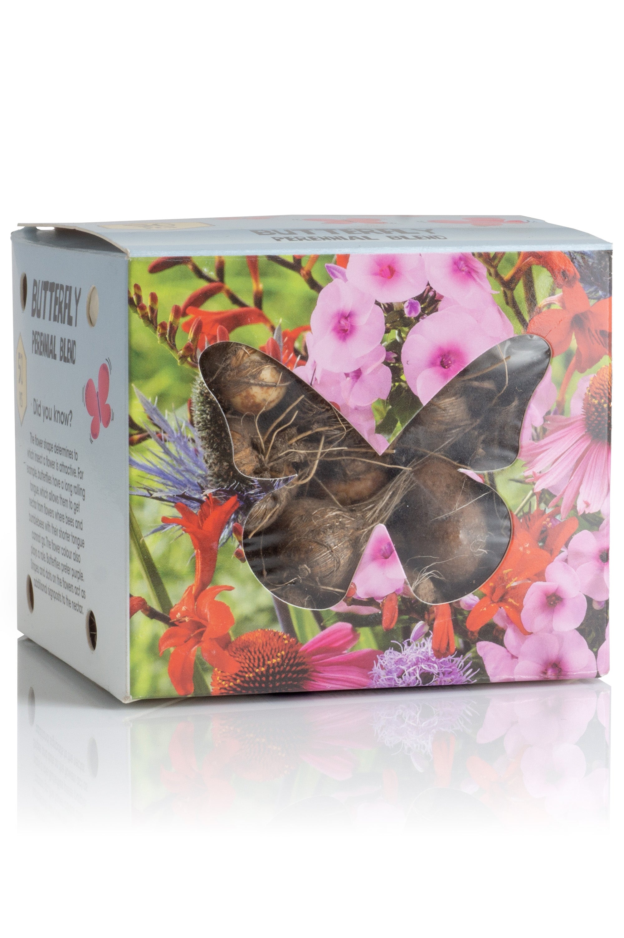 Butterfly Perennial Box (Phlox Paniculata, Eryngium Planum, Echinacea Purpurea, Crocosmia X Crocosmiiflora, Liatris Spicata) 50x Spring Planting Flower Bulbs