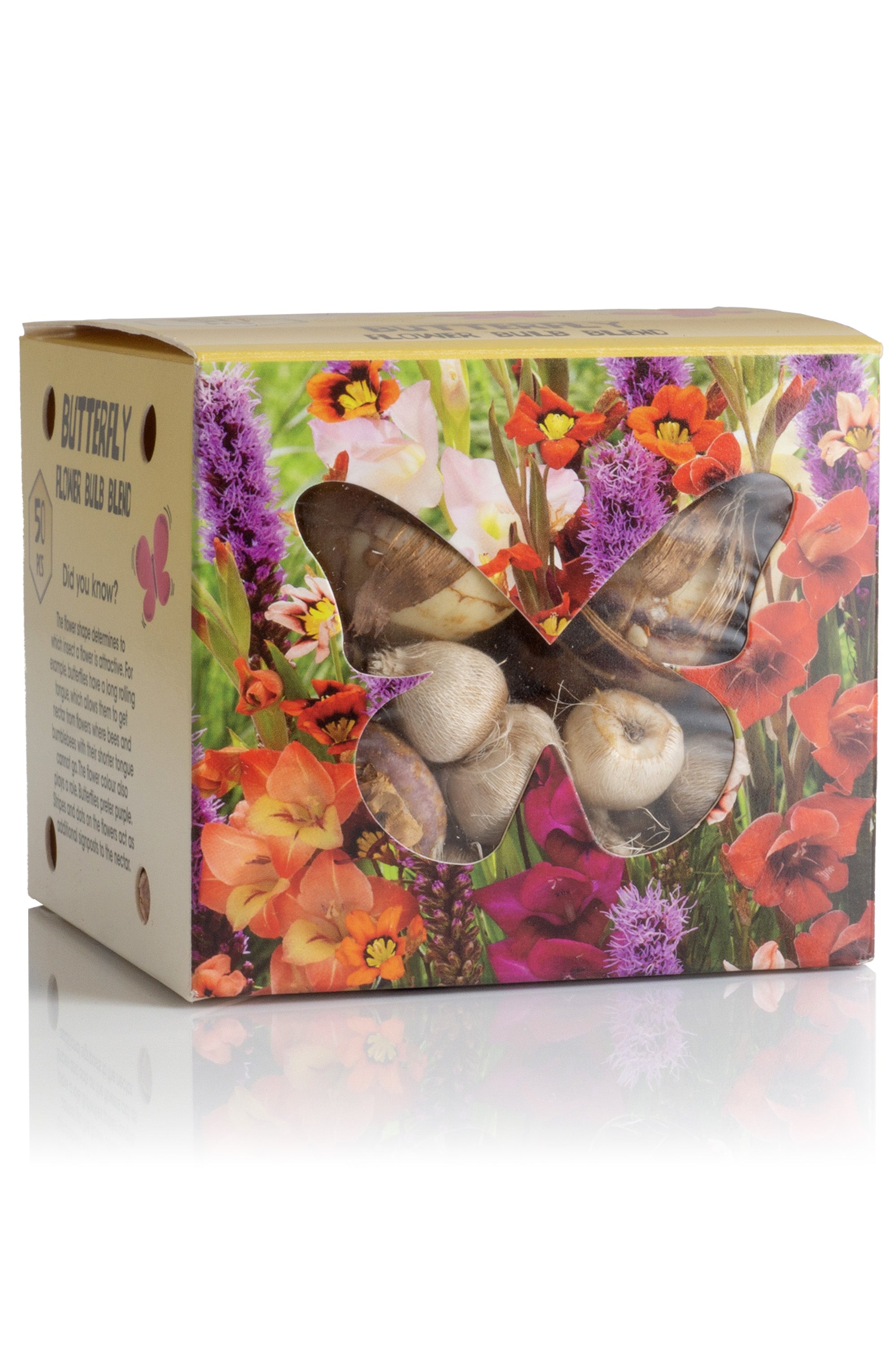 Butterfly Flower Bulb Box (Liatris Spicata, Gladiolus Hortulanus, Sparaxis Tricolor) 50x Spring Planting Flower Bulbs