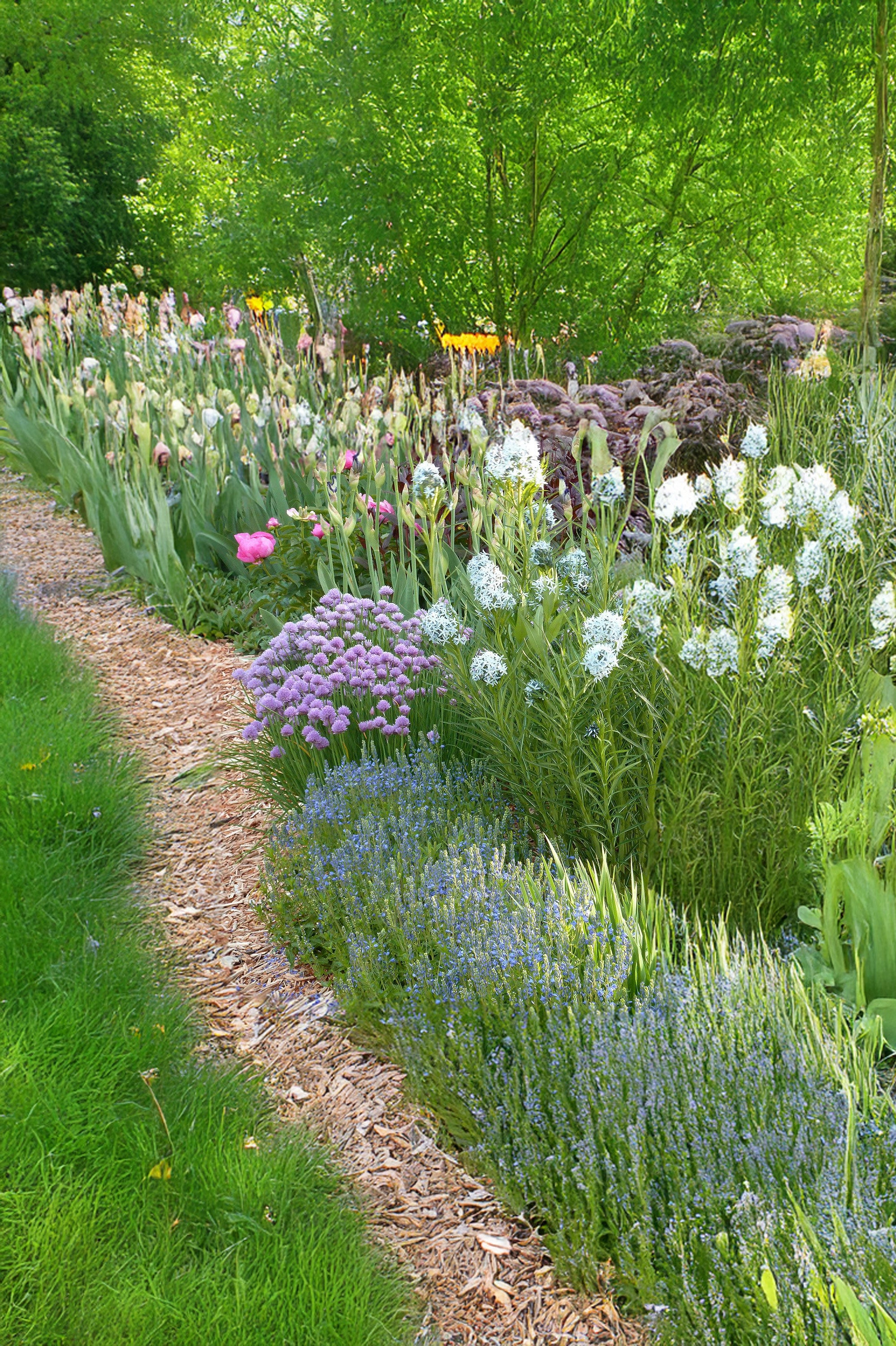 FREE! 10 Pack of Random Seeds (Fruit, Vegetable, Herb or Flower Seeds)
