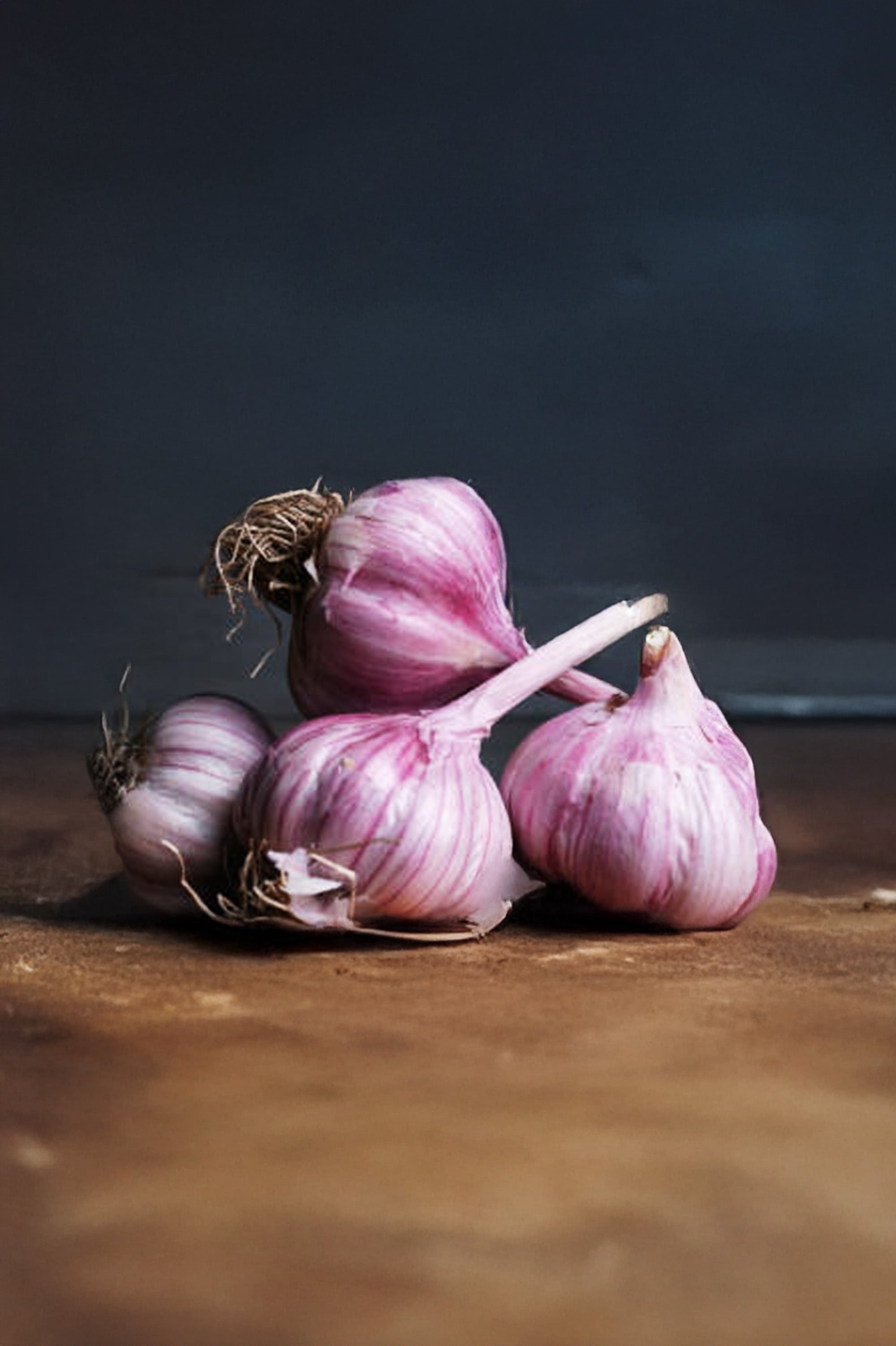 Garlic Pink