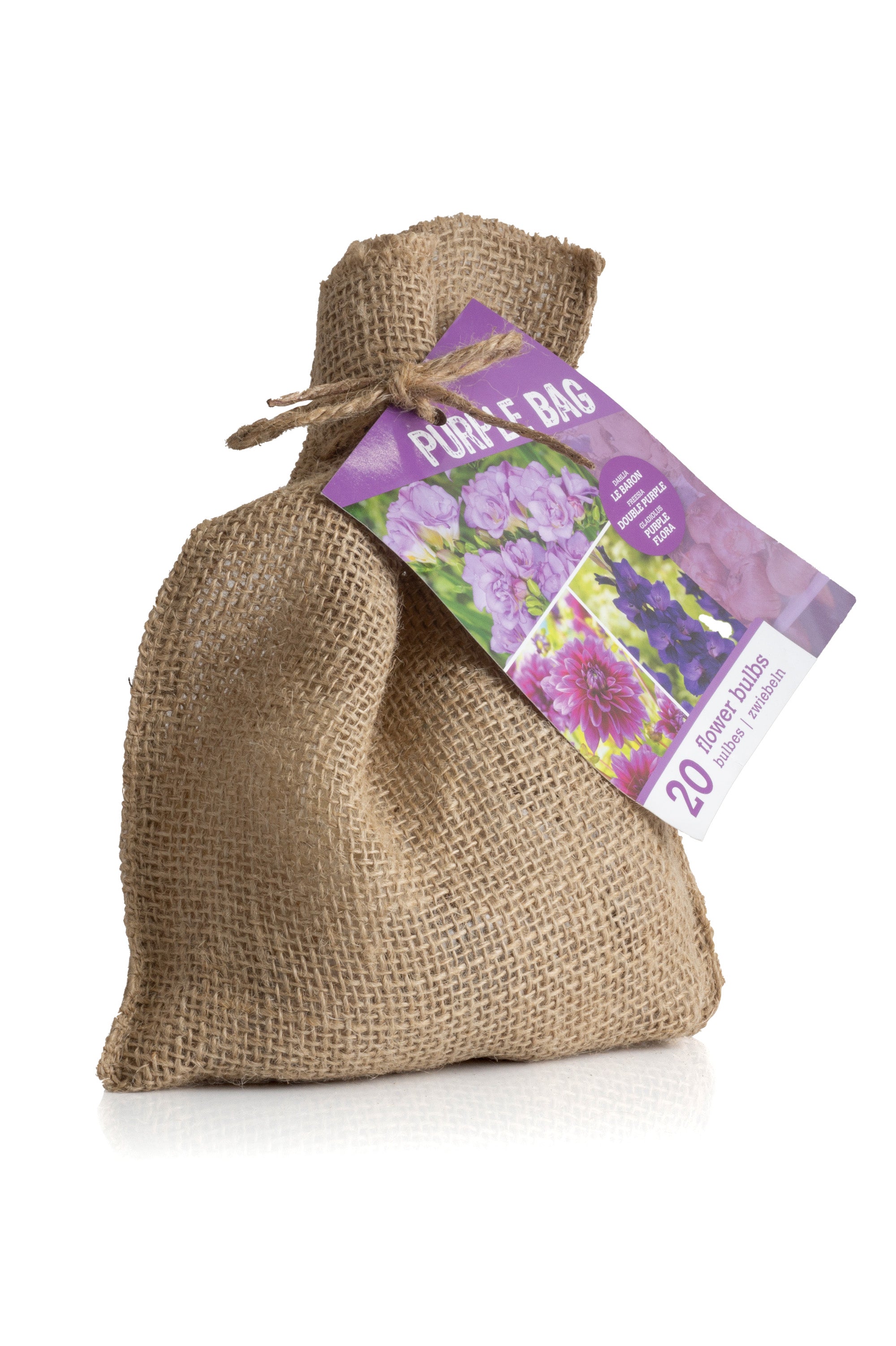 The Purple Bag (10 Bulbs) Dahlia, Gladiolus & Freesia