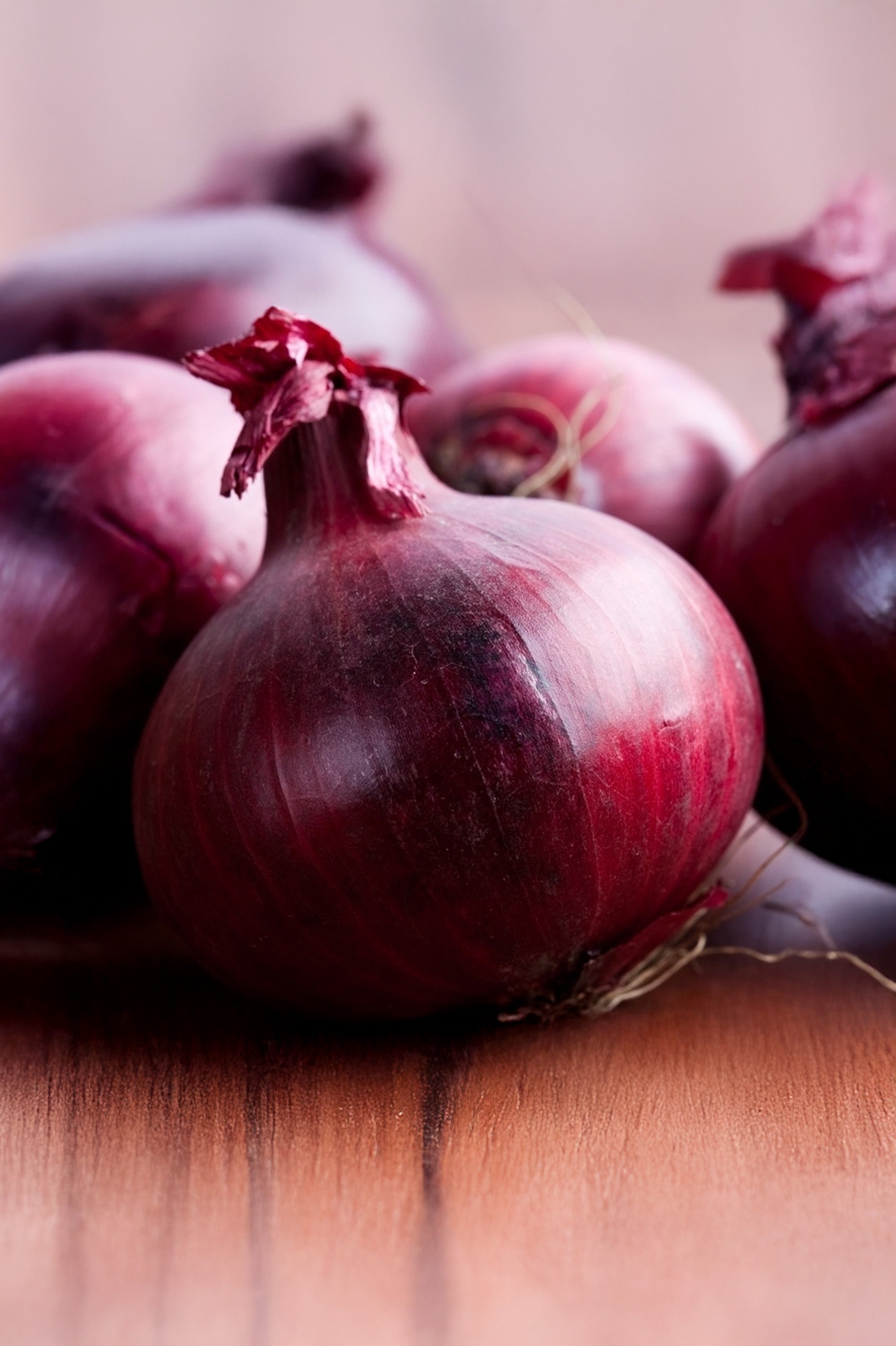 Onion Red Braunschweiger