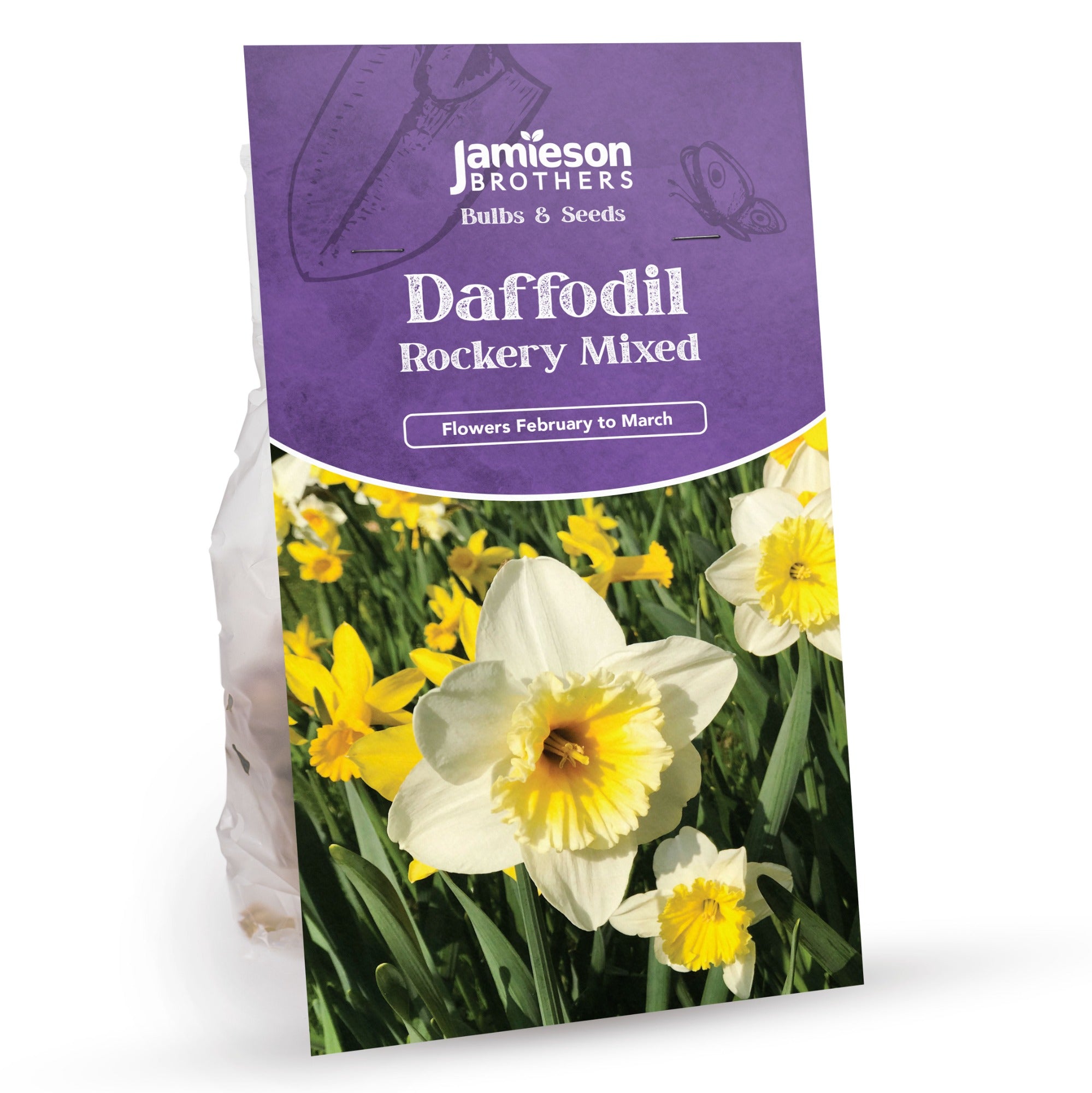 Rockery Mixed Dwarf Daffodil and Tulip Bulbs by Jamieson Brothers