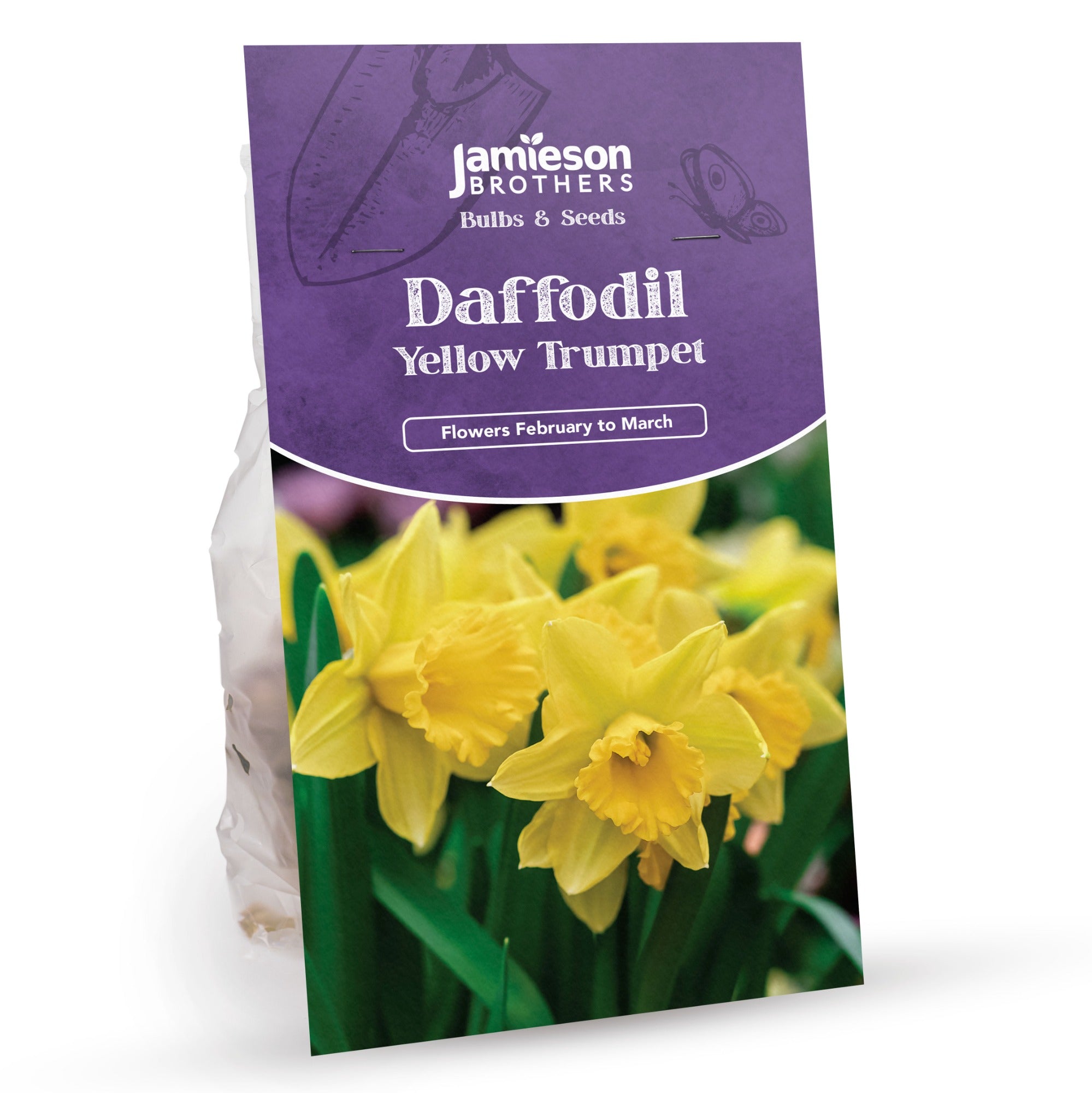 Yellow Trumpet Daffodil Bulbs (20 bulbs) by Jamieson Brothers