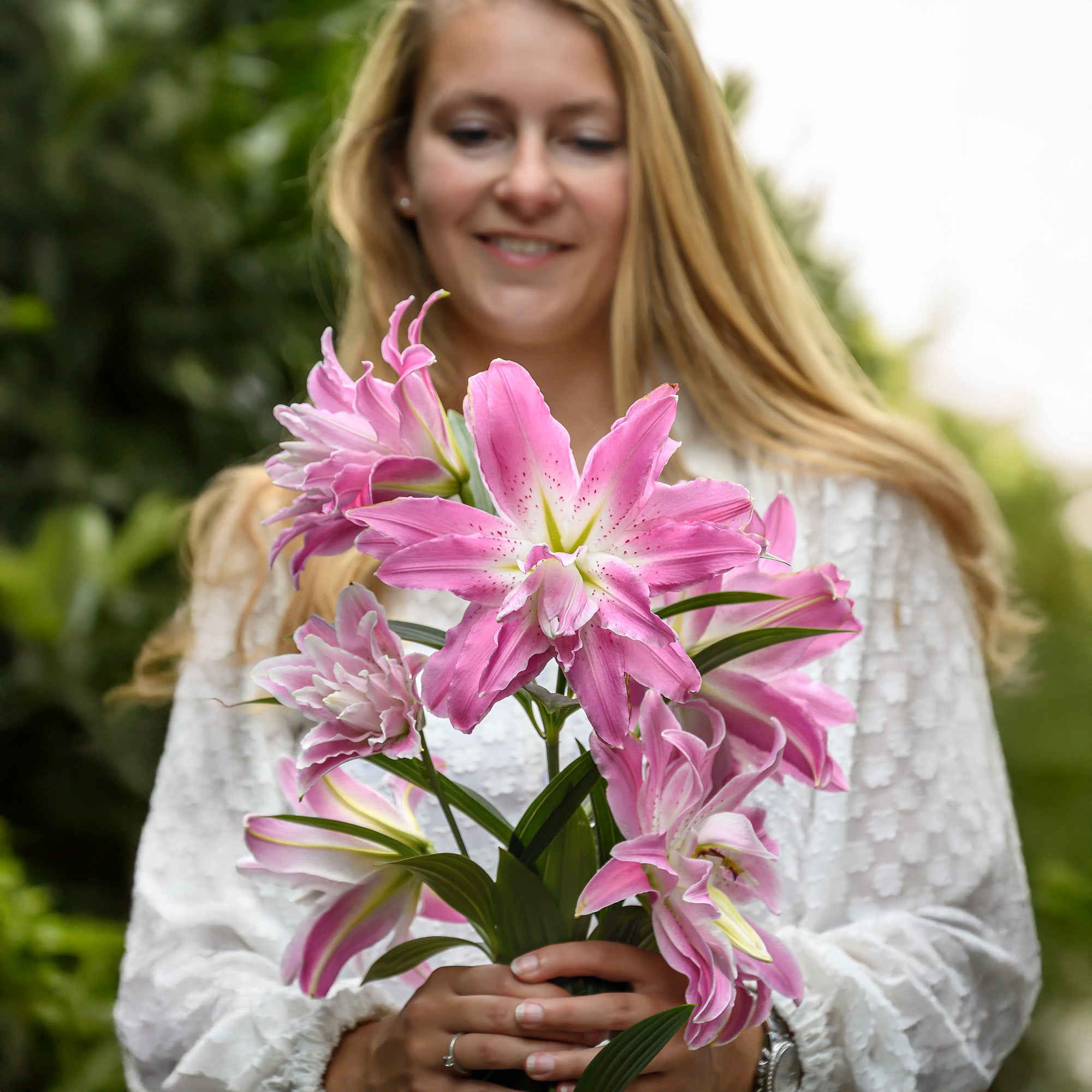 Lilium Lotus Elegance (2 Bulbs)