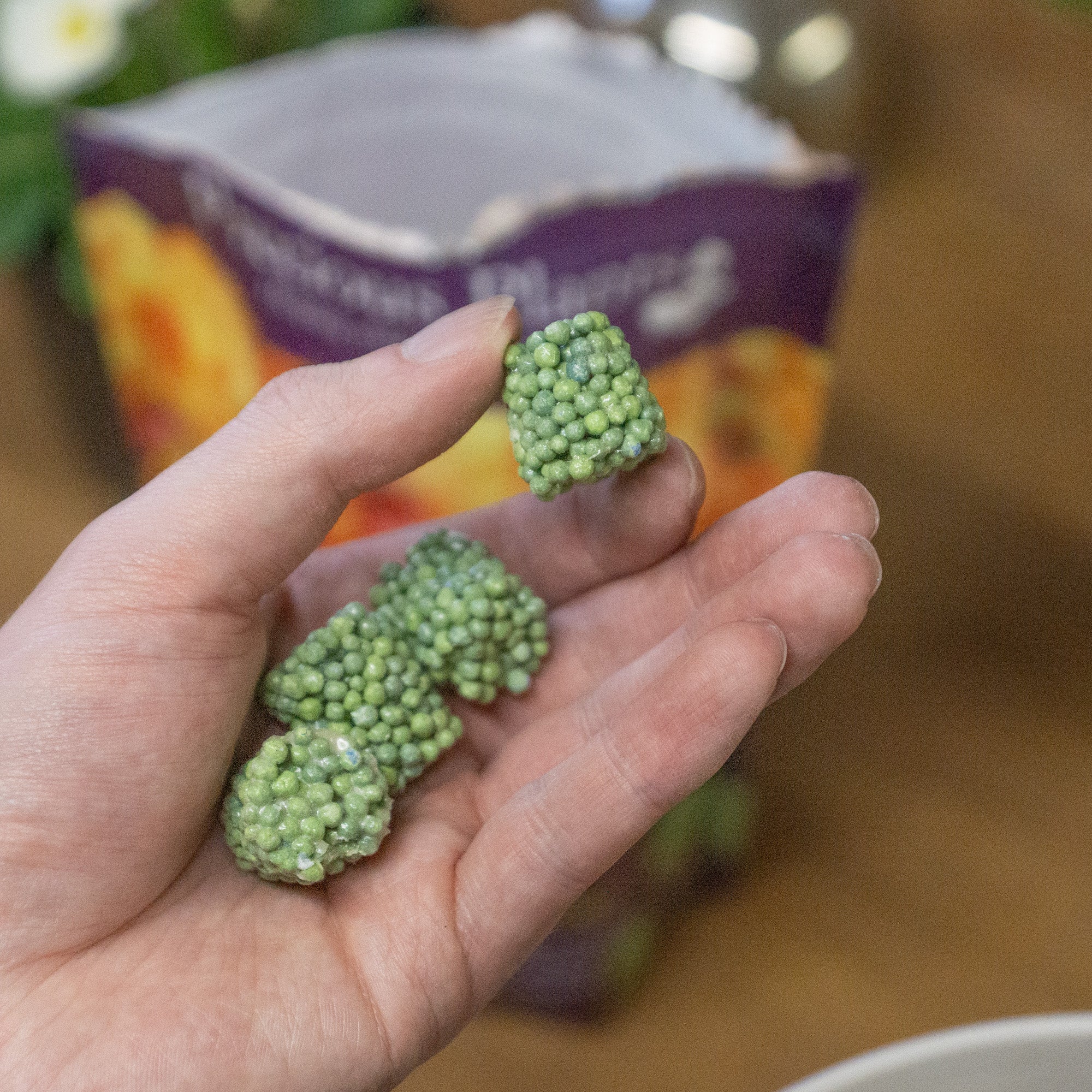 Precious Plants Push-In Plant Food Clusters 50 Pack – Easy Use Slow Release Fertiliser for Plants & Flowers – Pouch