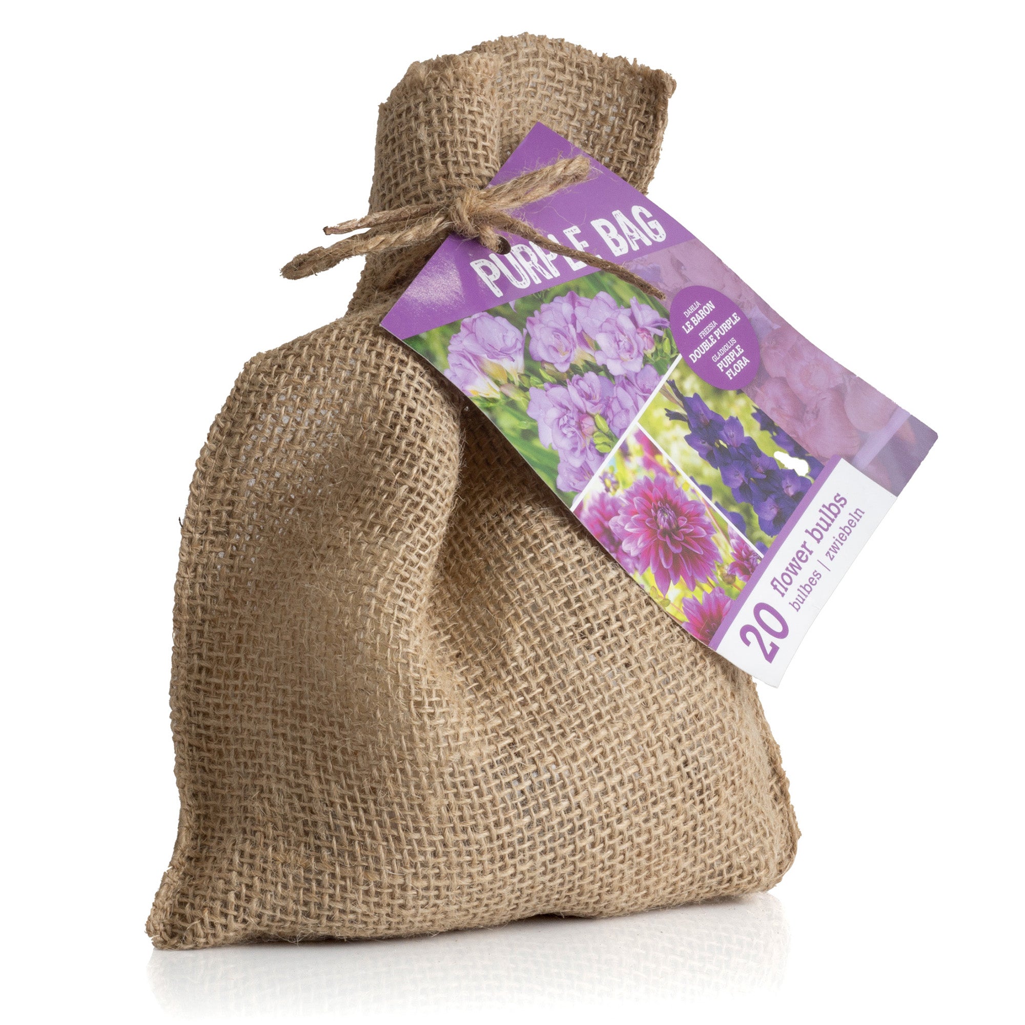 The Purple Bag (10 Bulbs) Dahlia, Gladiolus & Freesia