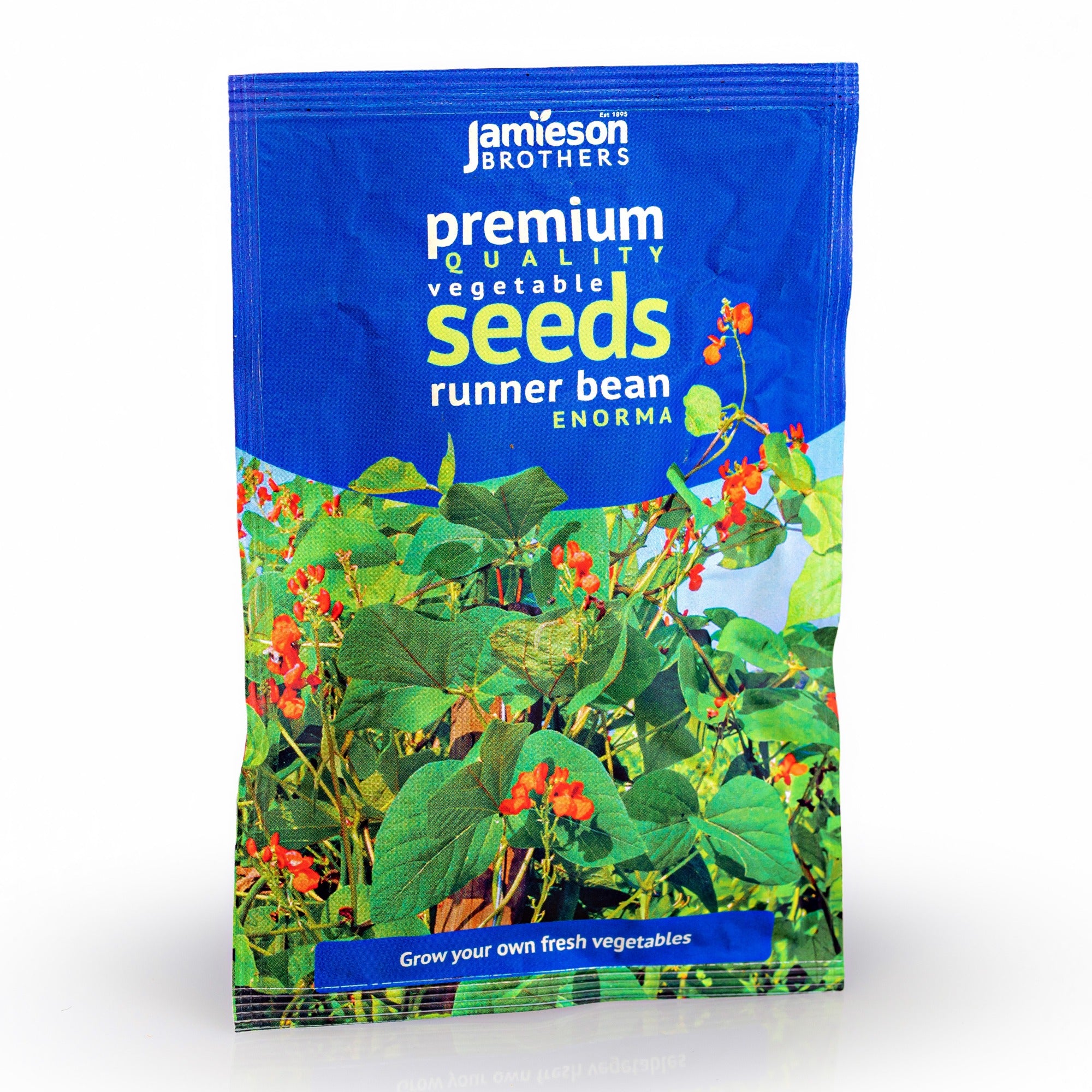 Runner Bean Enorma Vegetable Seeds