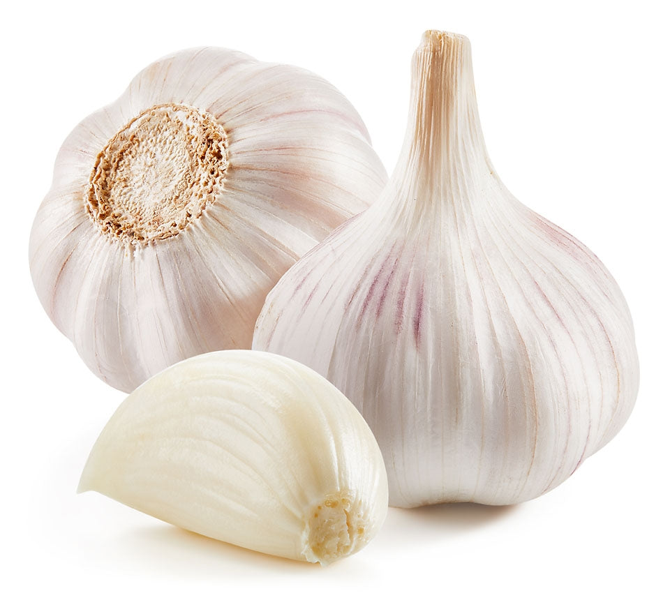 Garlic Pink