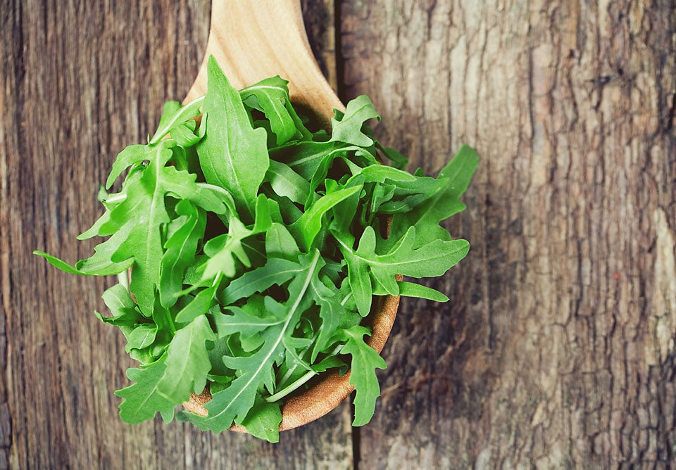 Rocket Wild Herb Seed