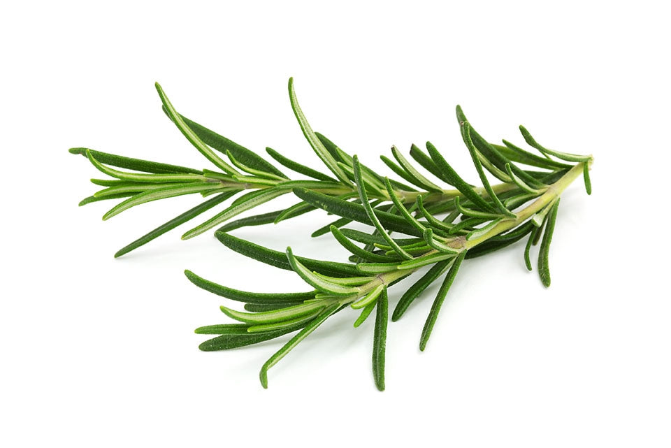 Rosemary Herb Seeds
