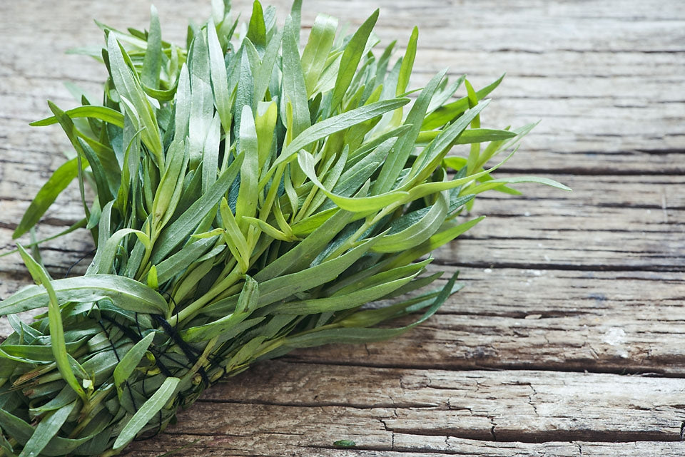 Tarragon (Russian) Herb Seeds