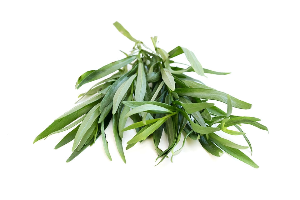 Tarragon (Russian) Herb Seeds