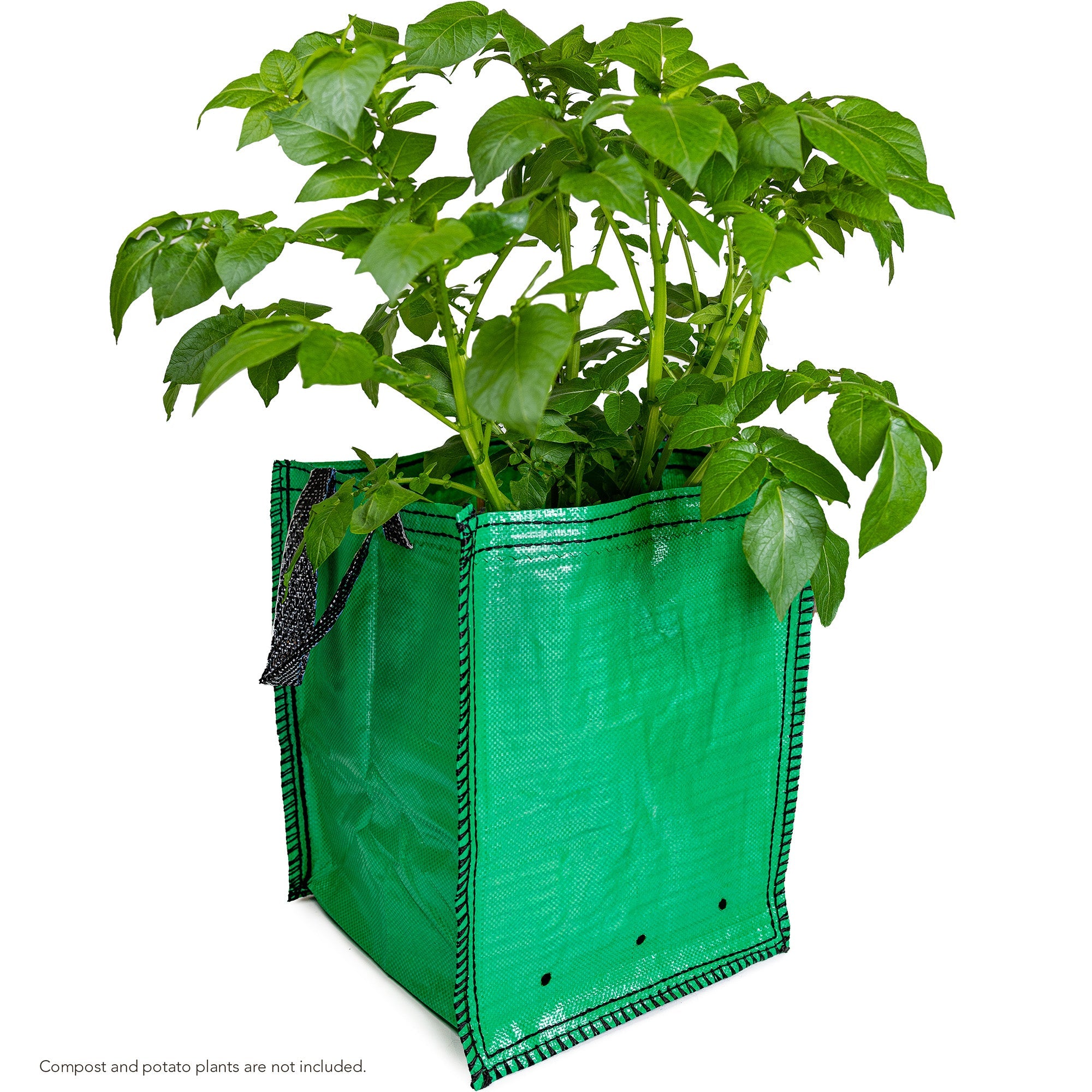 Potato Planter Grow Bags