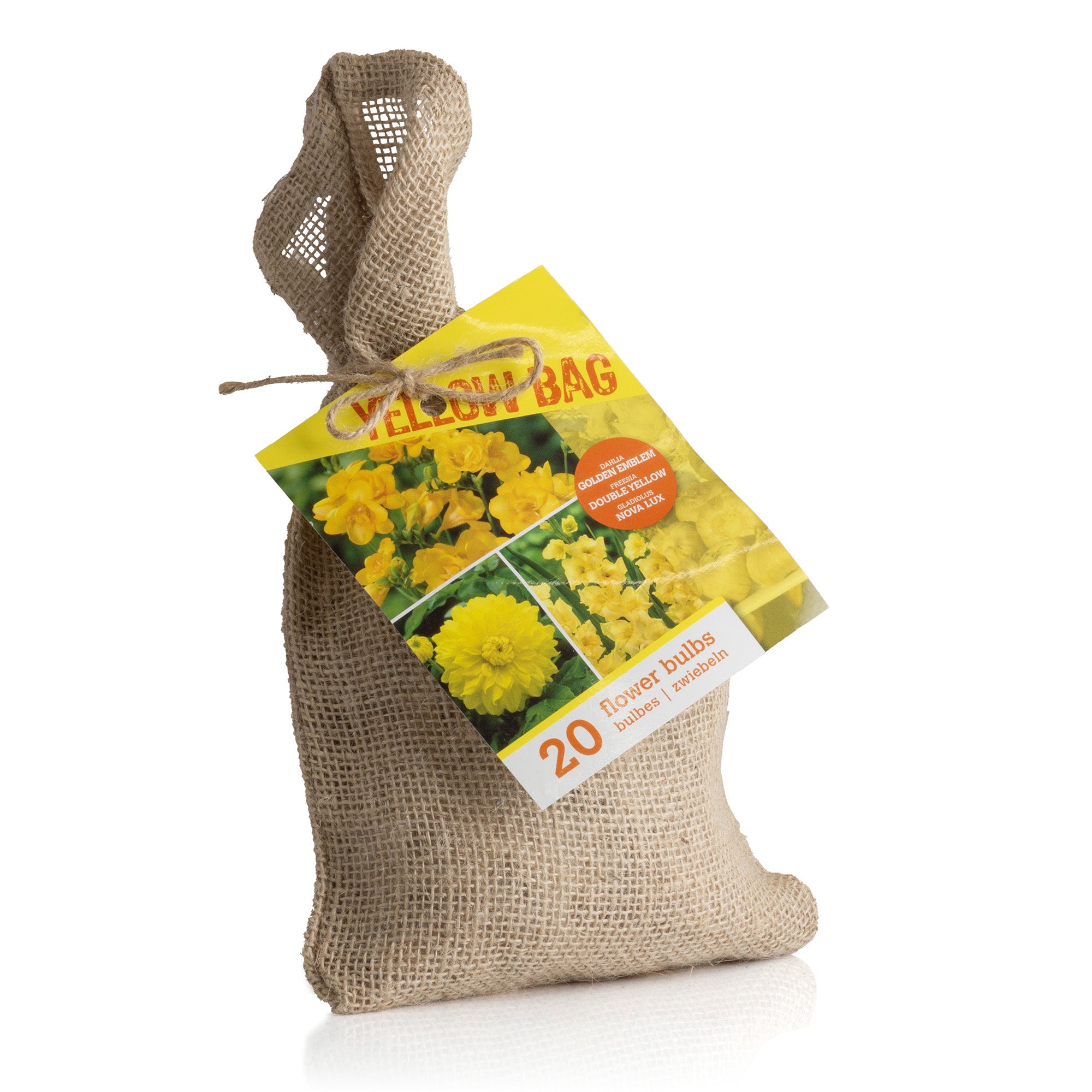 The Yellow Bag (10 Bulbs) Dahlia, Gladiolus & Freesia