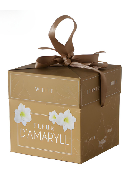 Fleur D'Amaryll White Box | Precious Plants