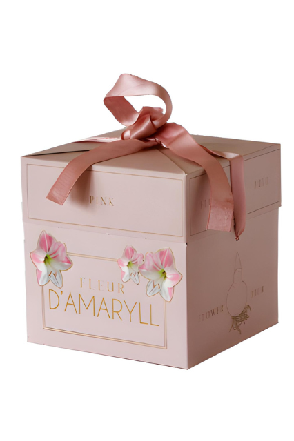 Fleur D'Amaryll Pink Box | Precious Plants