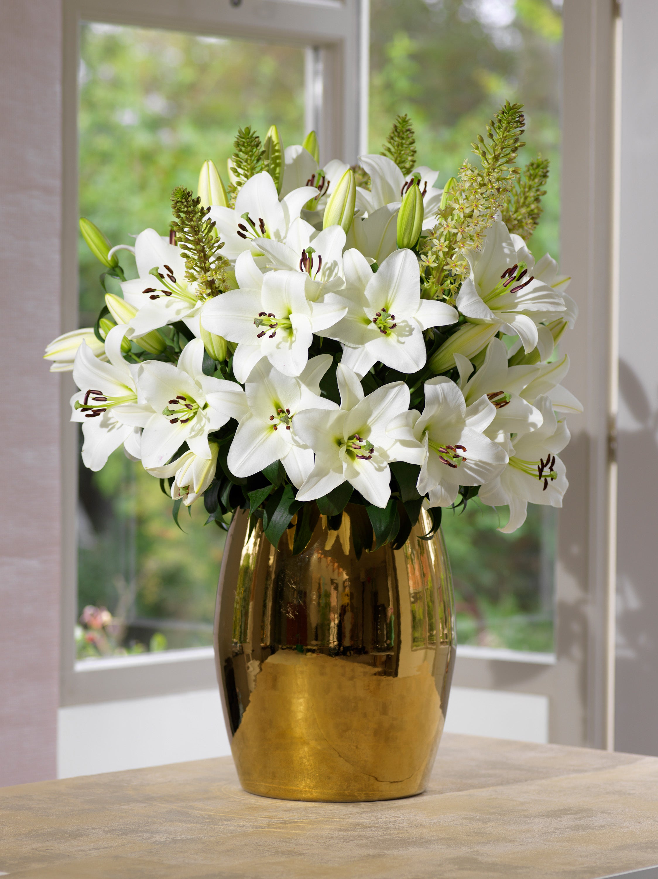 Lilium Asiatic White