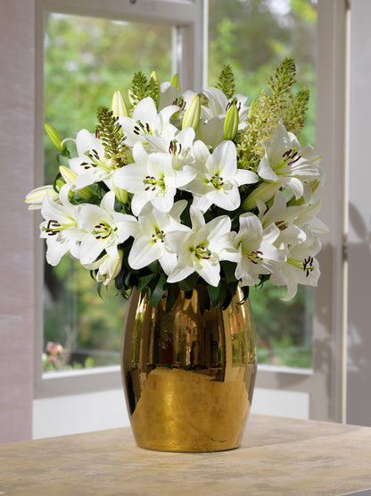 Lilium Asiatic White