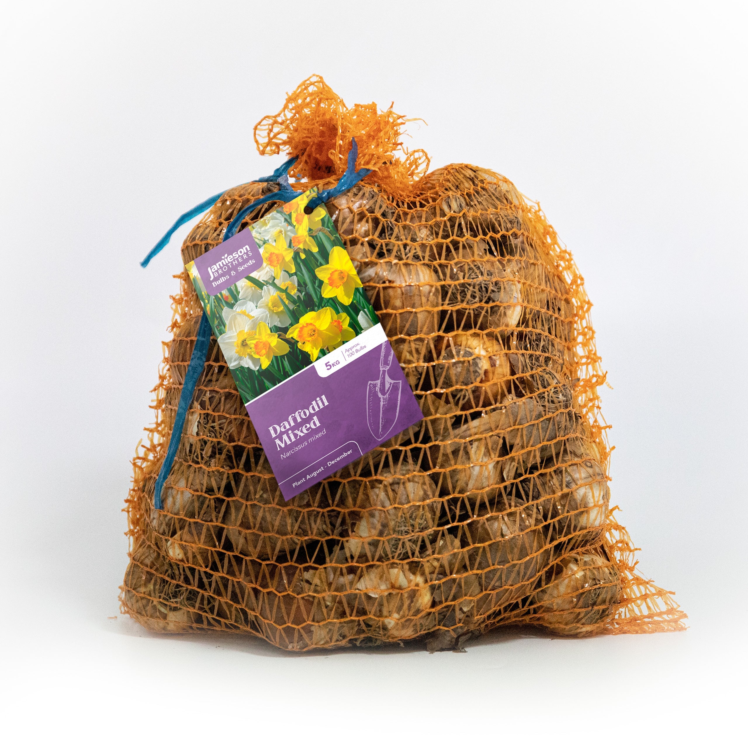 Mixed Daffodil Bulbs by Jamieson Brothers