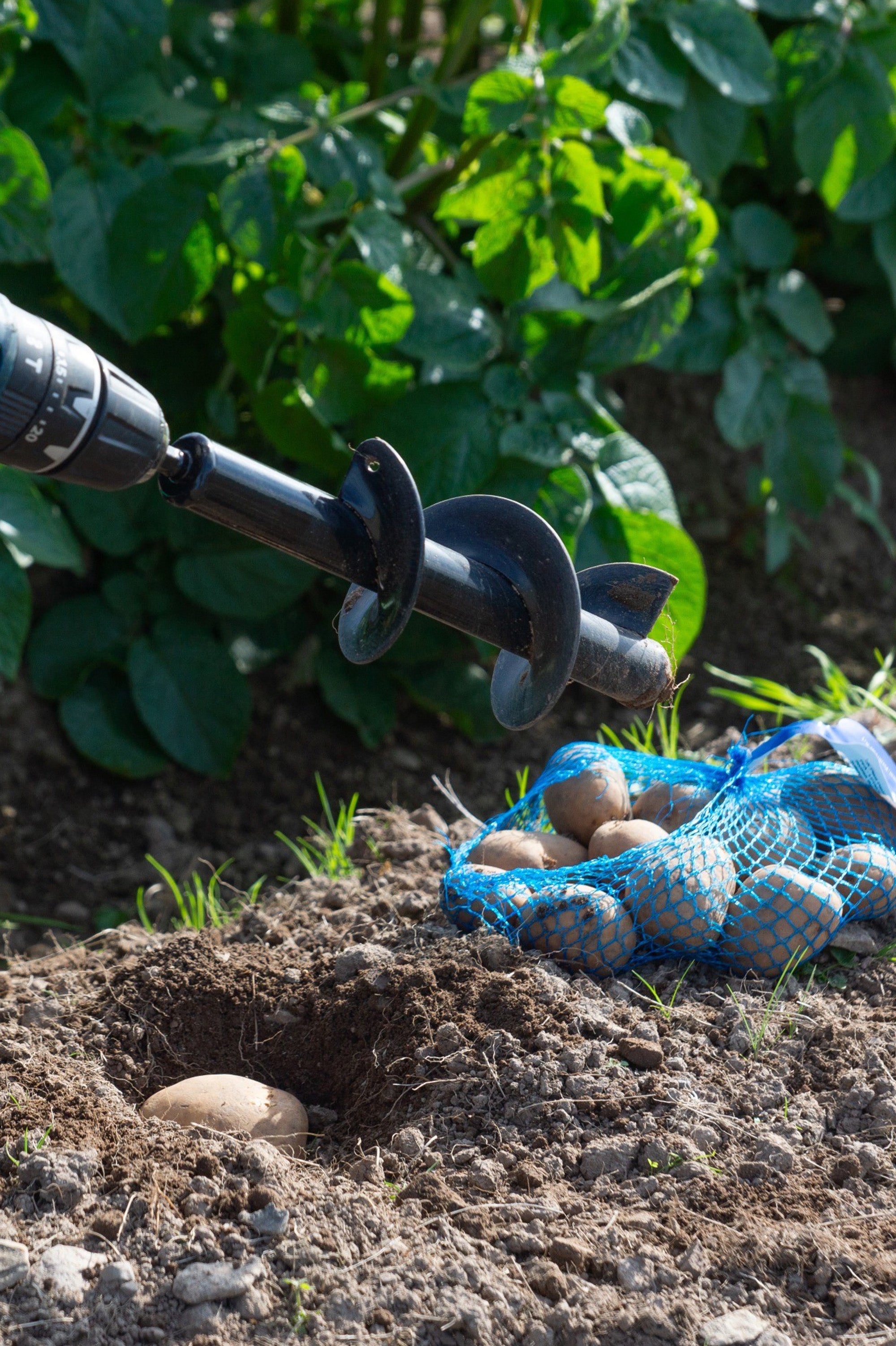 Auger Drill Bits for Planting Bulbs, Flowers, Vegetables, Potatoes, and Weed Remover - Twin Tool Pack 8x30 & 4x22cm by Jamieson Brothers