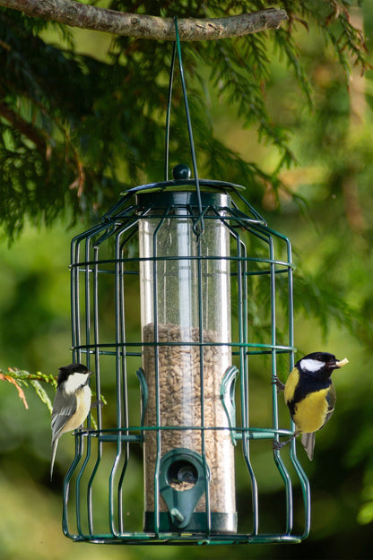 Squirrel Resistant Bird Feeders For Seeds Fatballs and Nuts- 3 pack by Jamieson Brothers