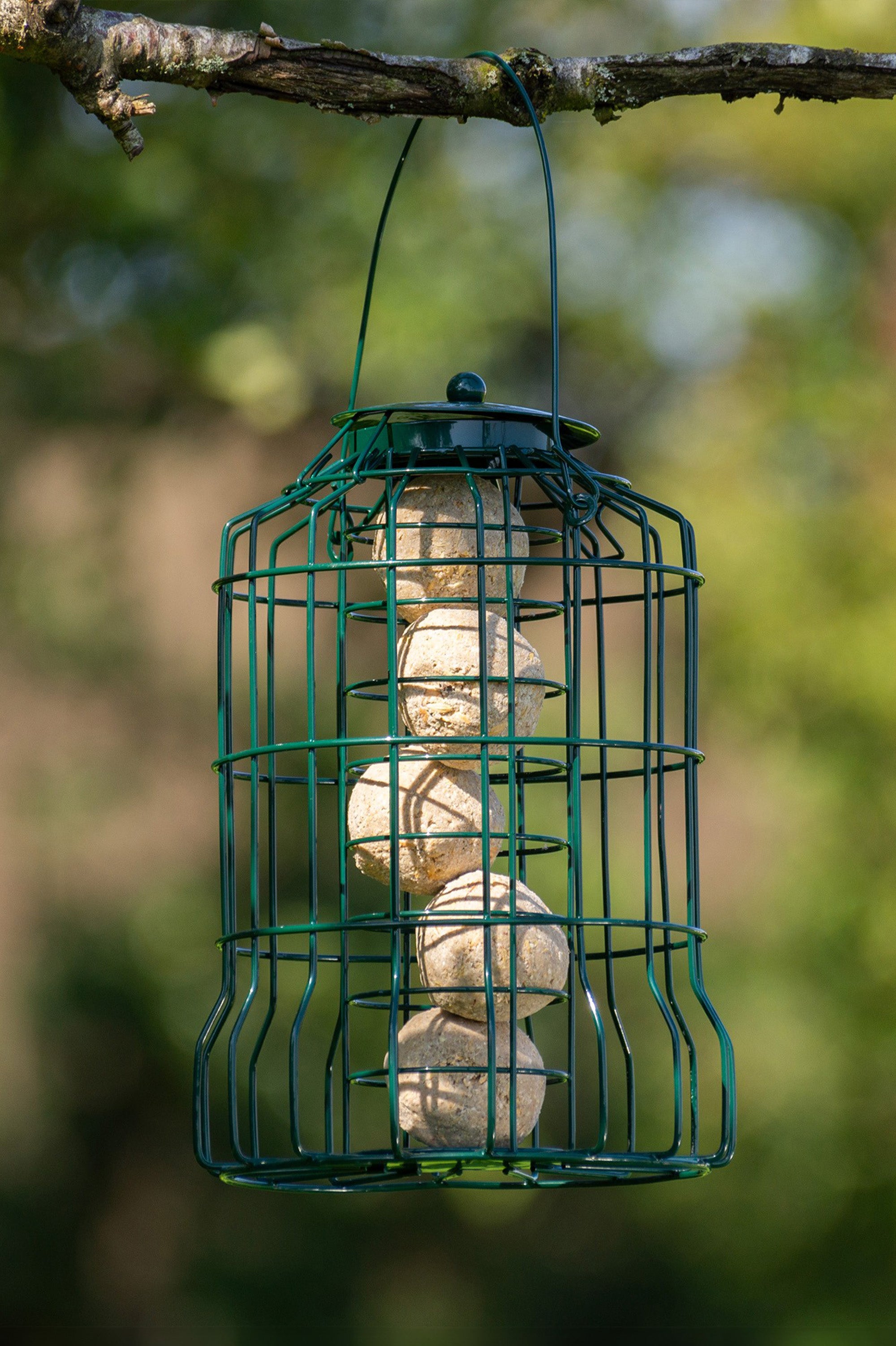 Squirrel Resistant Bird Feeders For Seeds Fatballs and Nuts- 3 pack by Jamieson Brothers