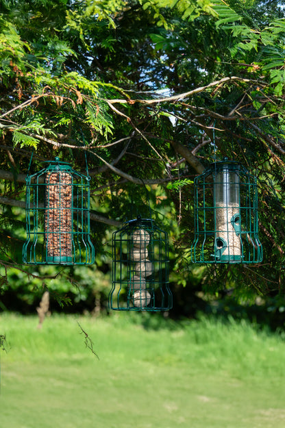 Squirrel Resistant Bird Feeders For Seeds Fatballs and Nuts- 3 pack by Jamieson Brothers