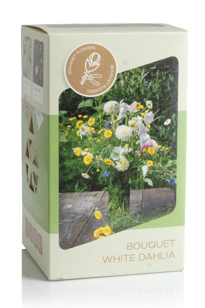 Bouquet Flowering - White Dahlia Box