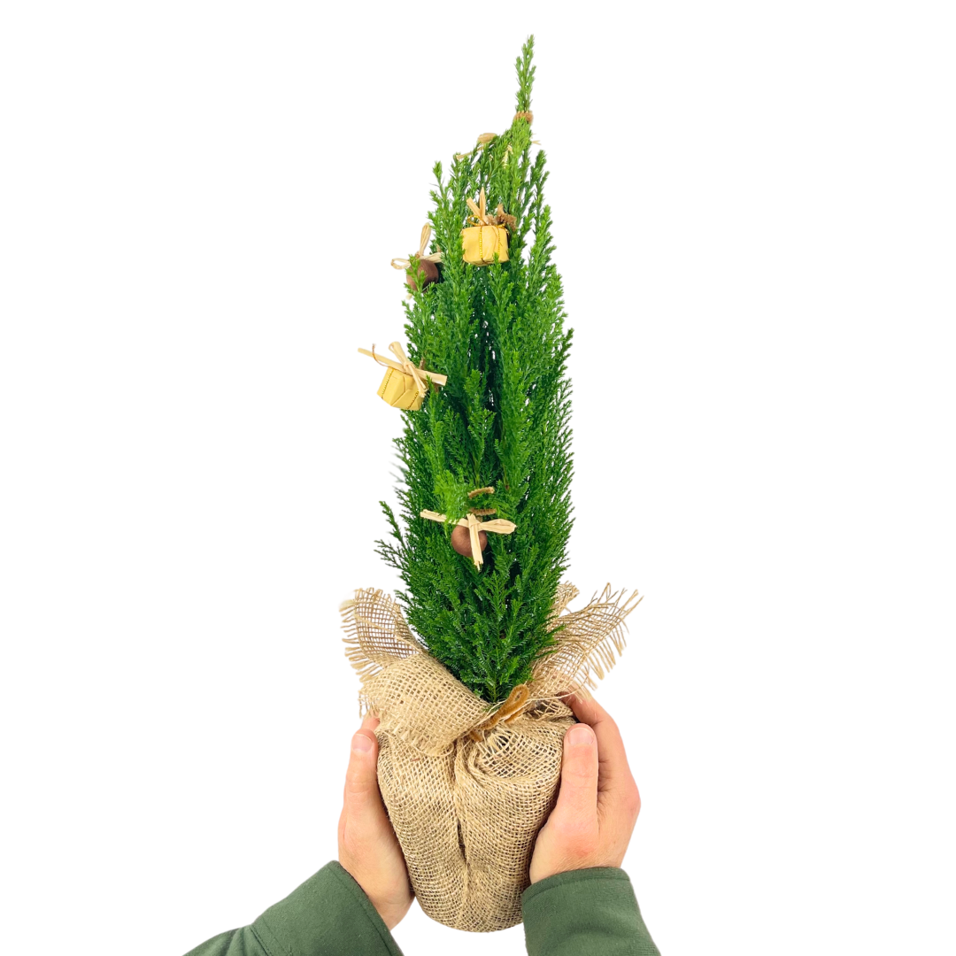 Christmas tree in Jute Sack with baubles