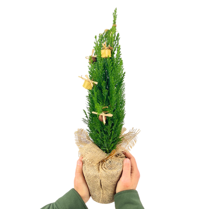Christmas tree in Jute Sack with baubles