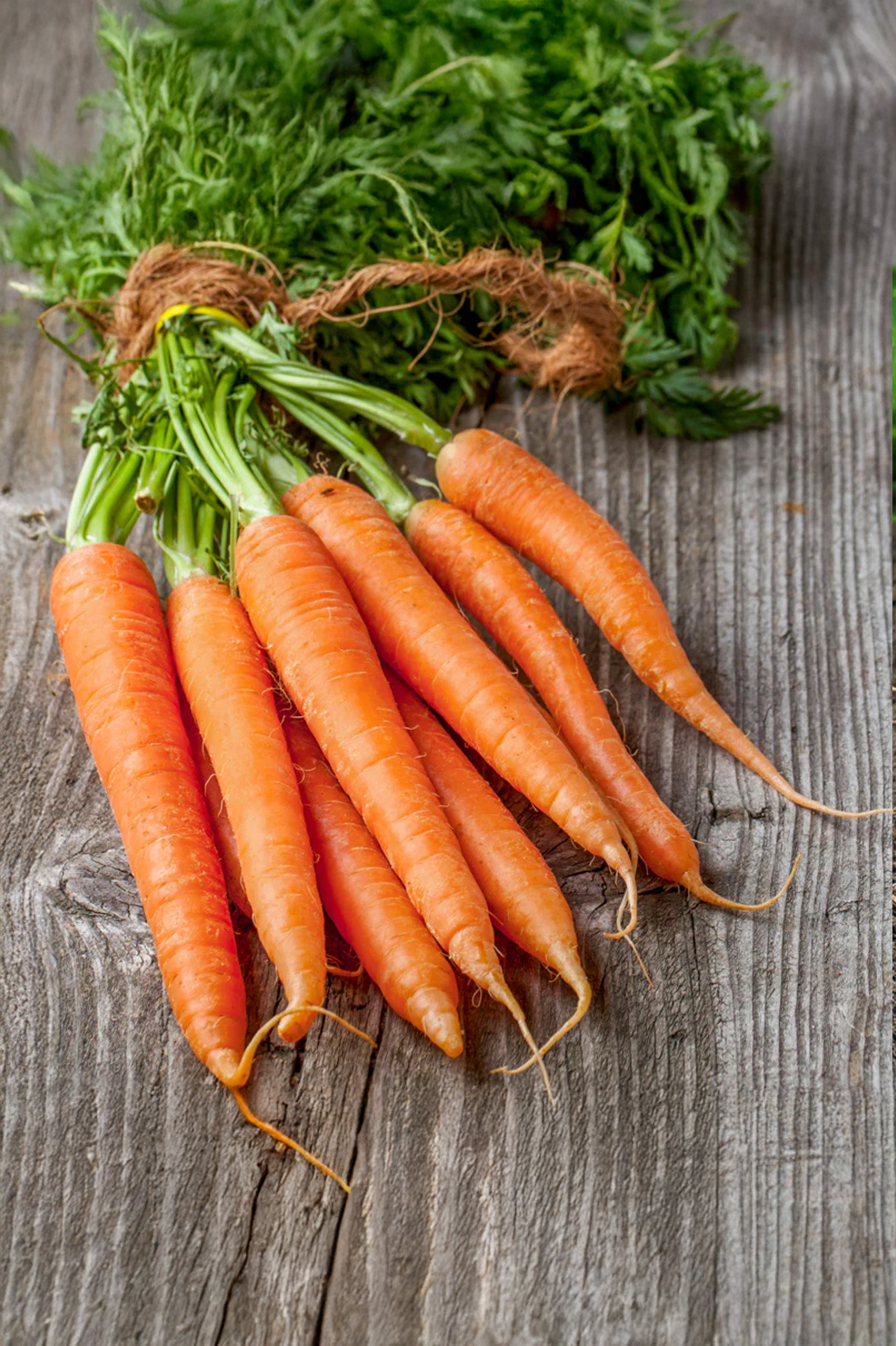 Carrot Early Nantes II Seeds