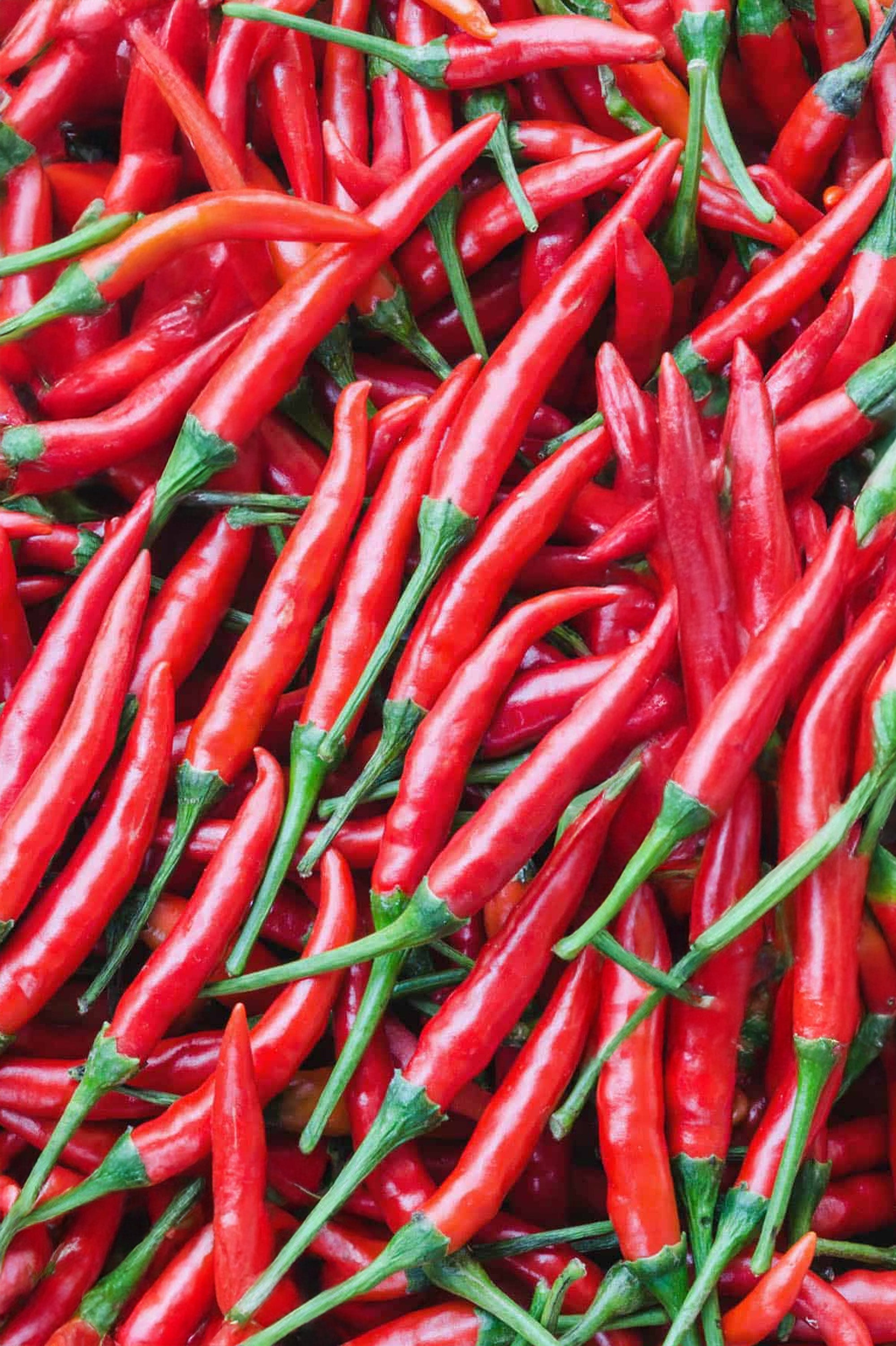 Chilli Cayenne Seeds