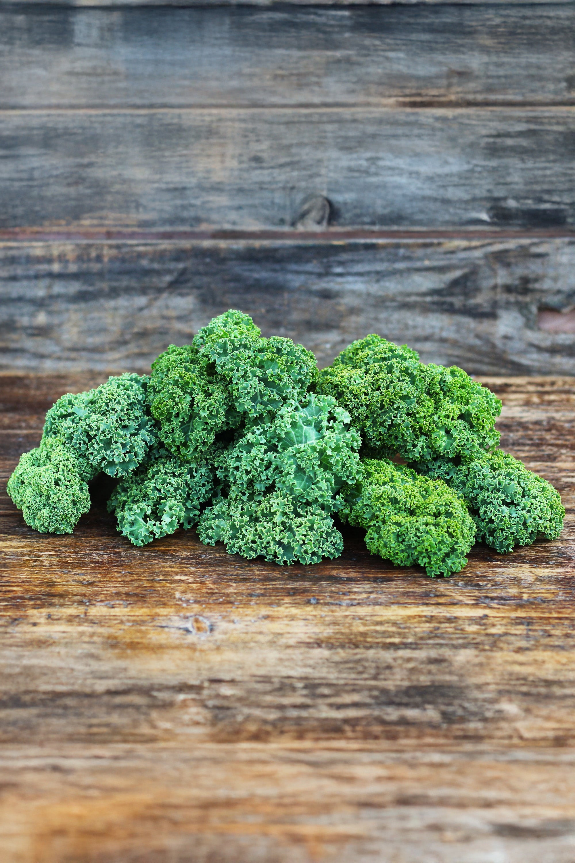 Curly Kale Blue Scotch Vegetable Seeds