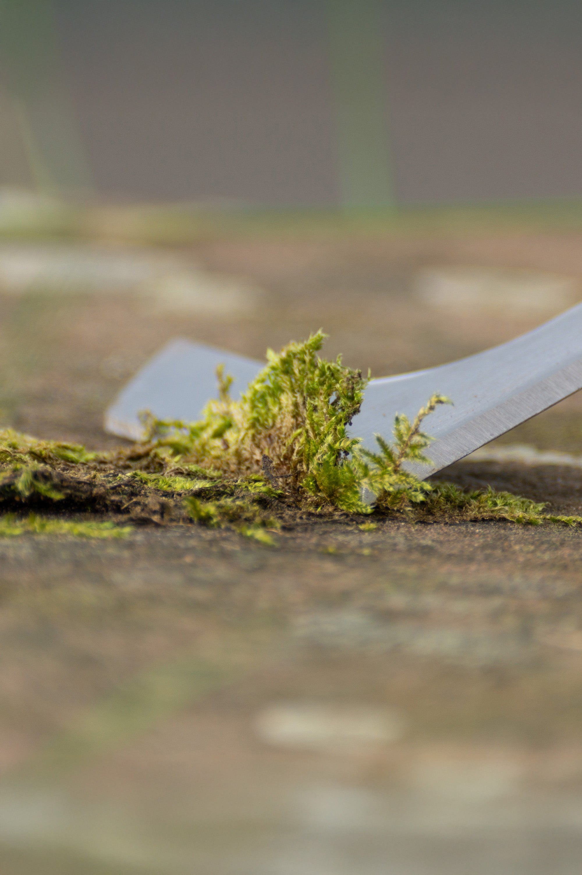 Gardening Stainless Steel Edging Iron, Hand Weed Remover Tool, Hand Daisy Grubber 3 in 1 Garden Tool Set By Jamieson Brothers