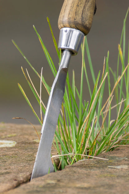 Gardening Stainless Steel Edging Iron, Hand Weed Remover Tool, Hand Daisy Grubber 3 in 1 Garden Tool Set By Jamieson Brothers