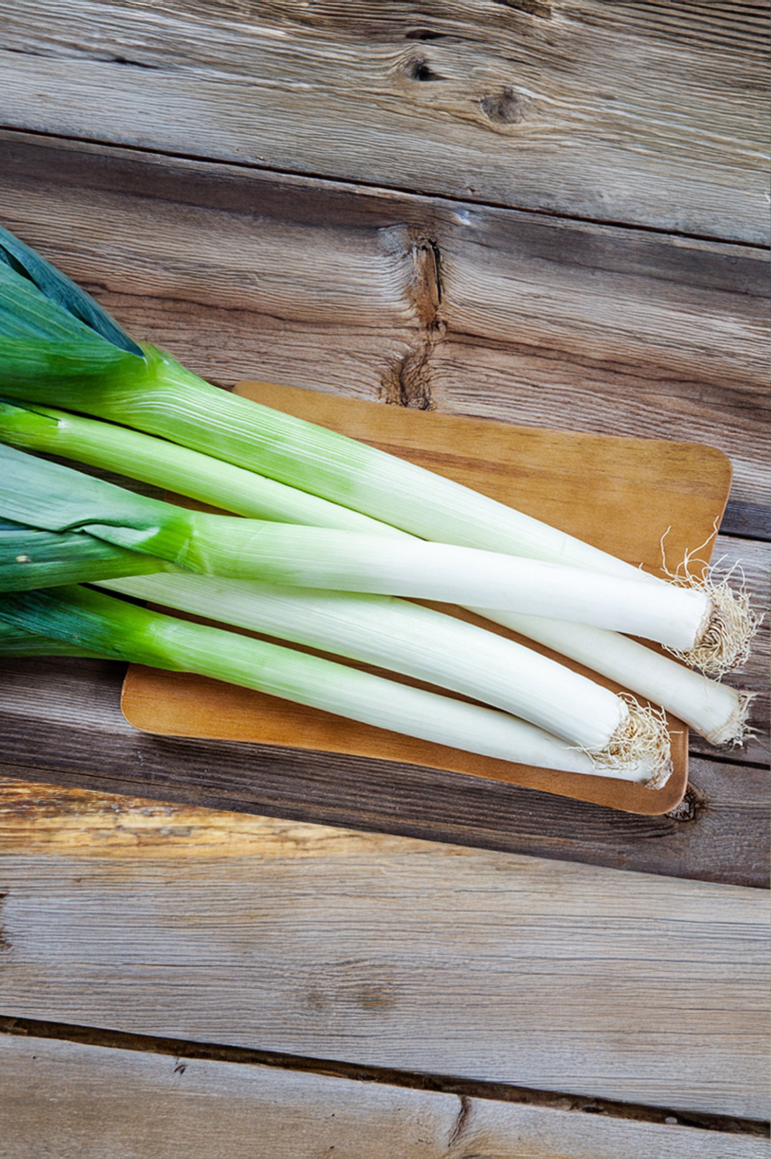 Leek Musselburgh Vegetable Seeds