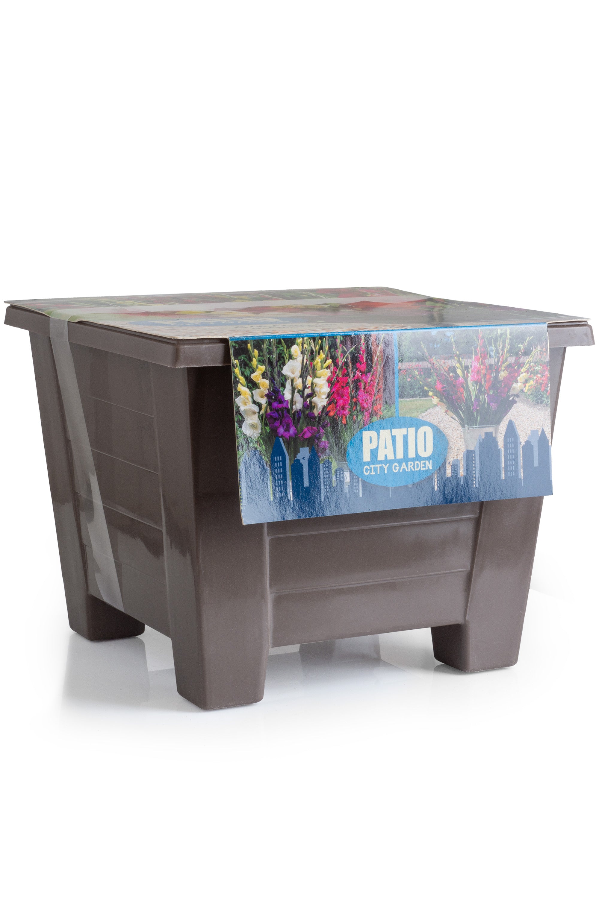 Patio City Garden Pot Gladiolus