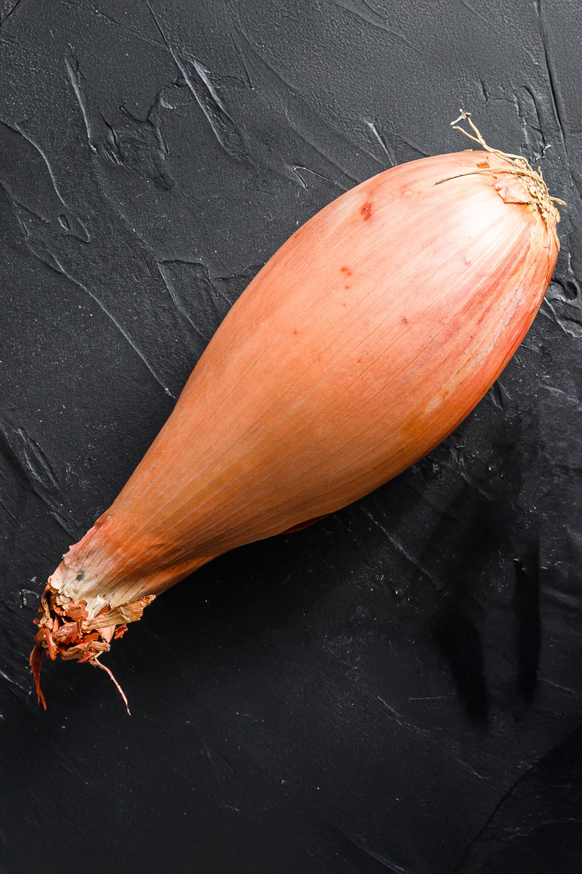 Shallot Red Sun