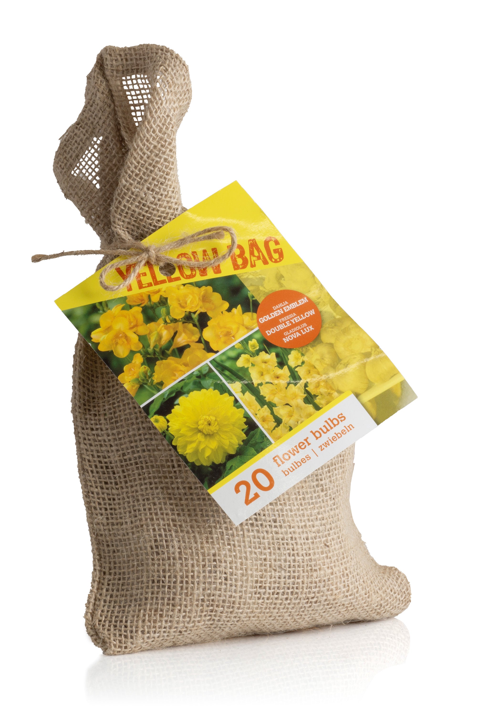 The Yellow Gift Bag (Dahlia Pinnata, Gladiolus Hortulanus, Freesia Hybrid) 20x Spring Planting Flower Bulbs
