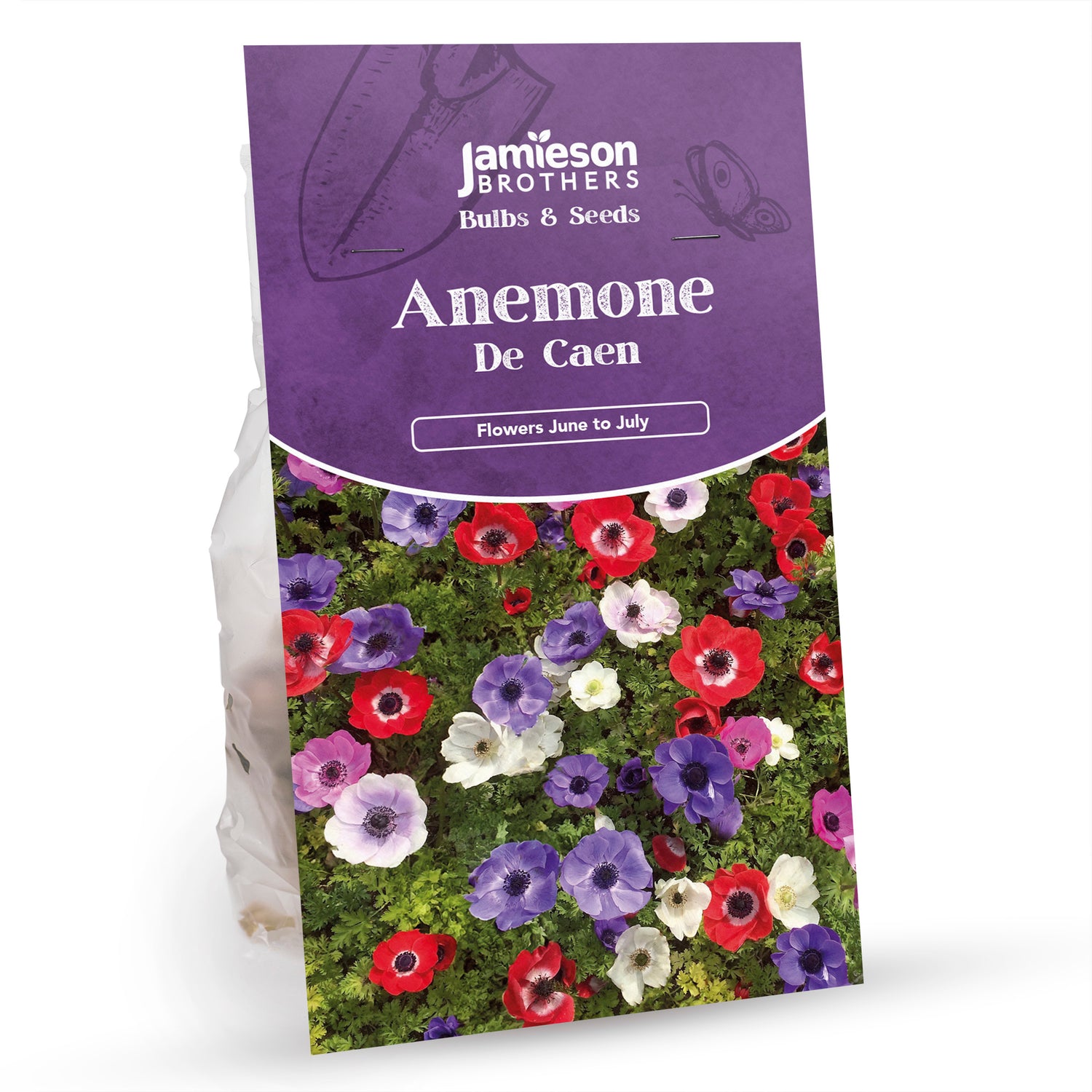 Anemone De Caen Bulbs 40 Bulbs