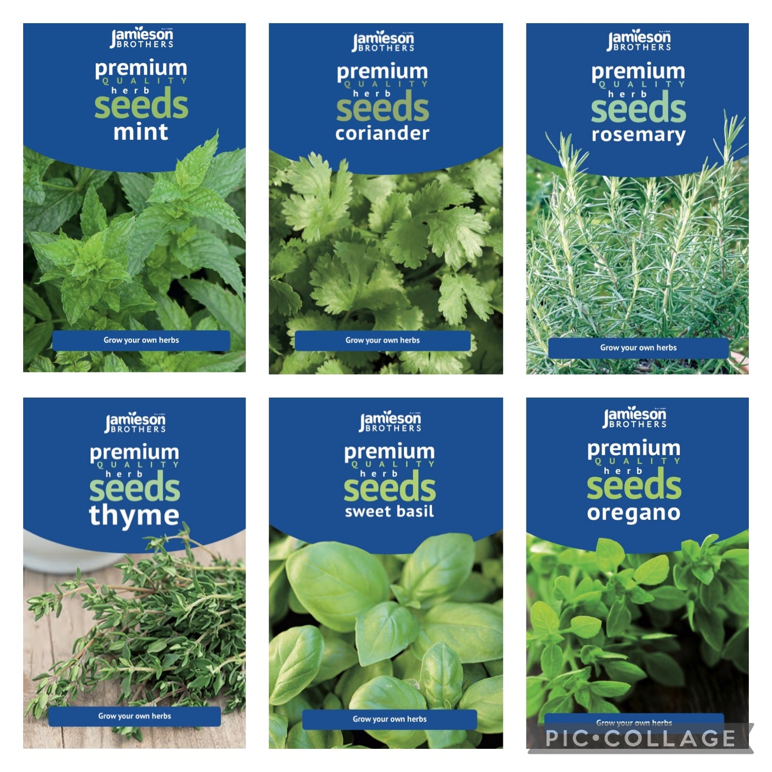 Kitchen Herb Collection 1 Each Of Oregano Coriander Sweet Basil Mint Rosemary Thyme