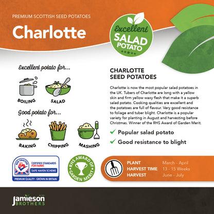 Charlotte Seed Potatoes