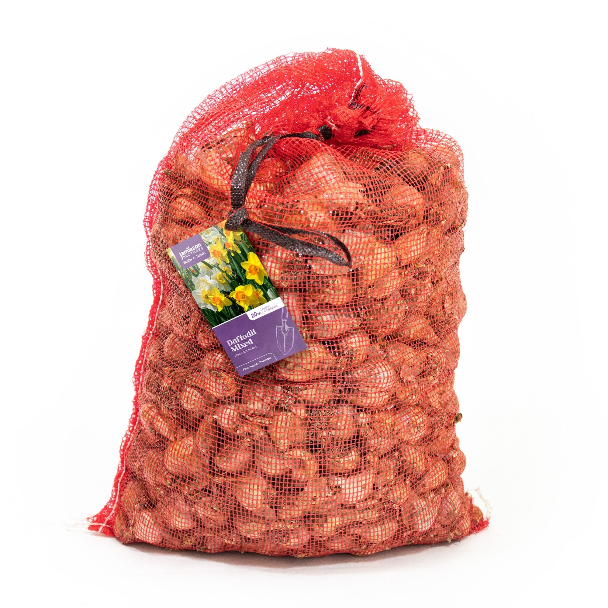 Mixed Daffodil Bulbs by Jamieson Brothers