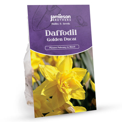 Golden Ducat Daffodil Bulbs (15 Bulbs) by Jamieson Brothers